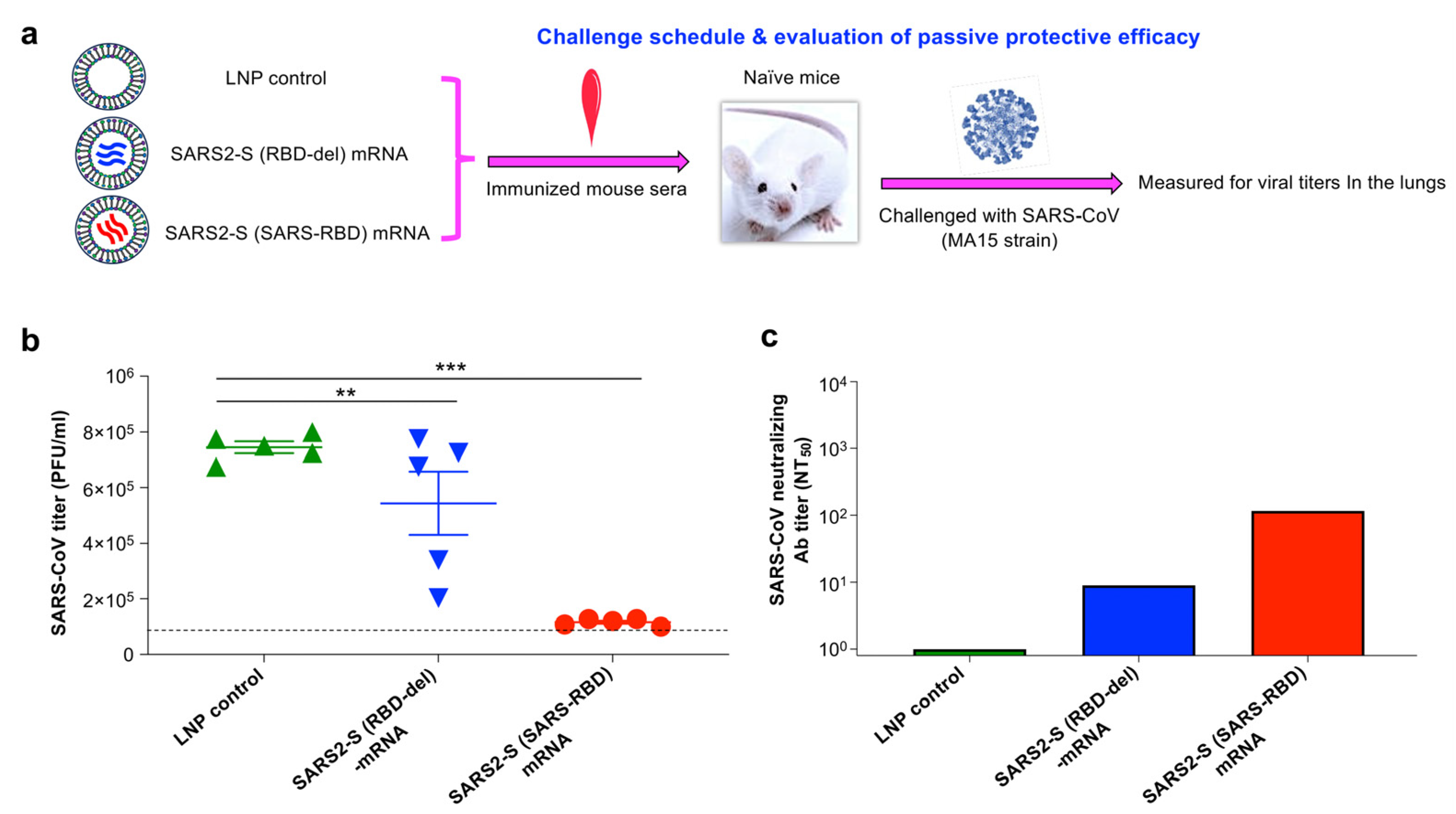 Vaccines 12 00605 g005