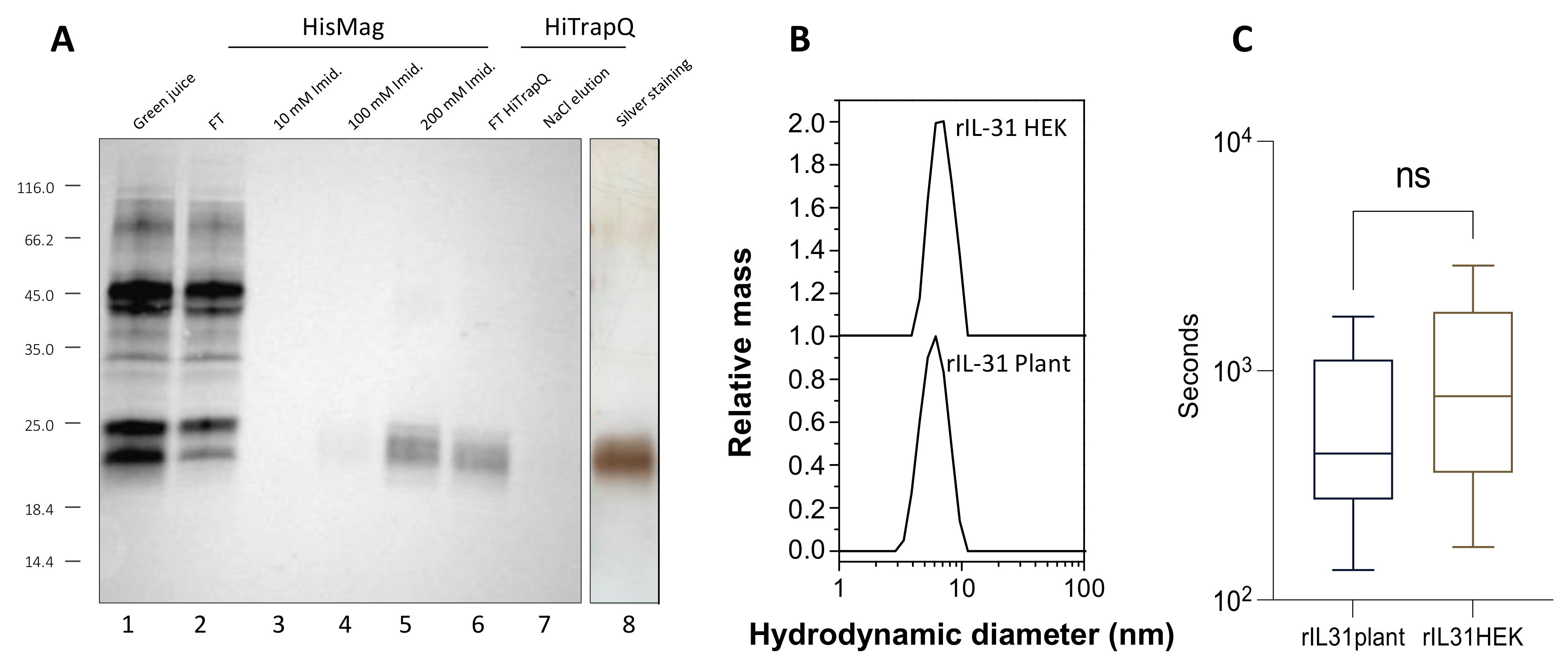 Vaccines 12 00620 g001