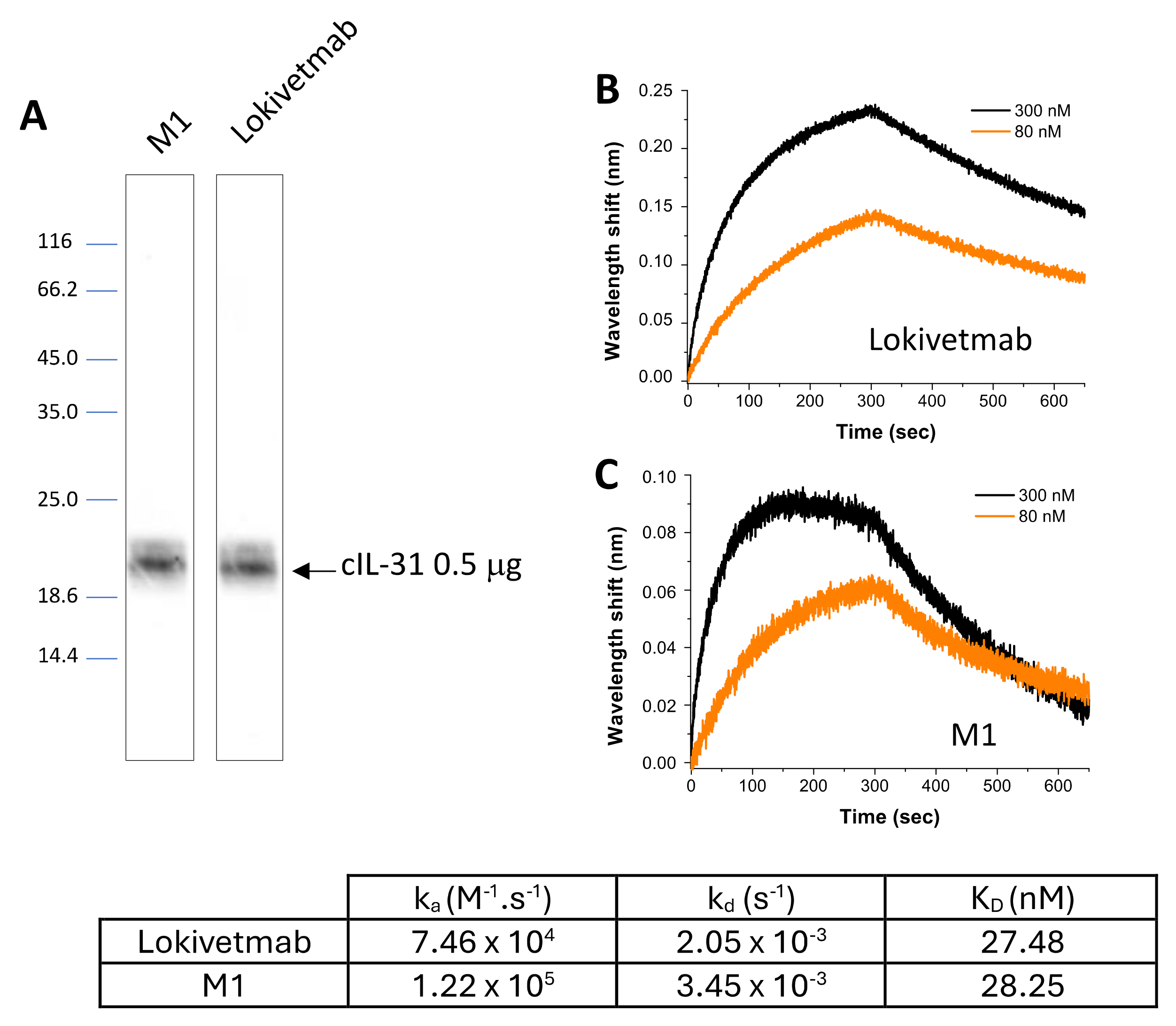 Vaccines 12 00620 g003