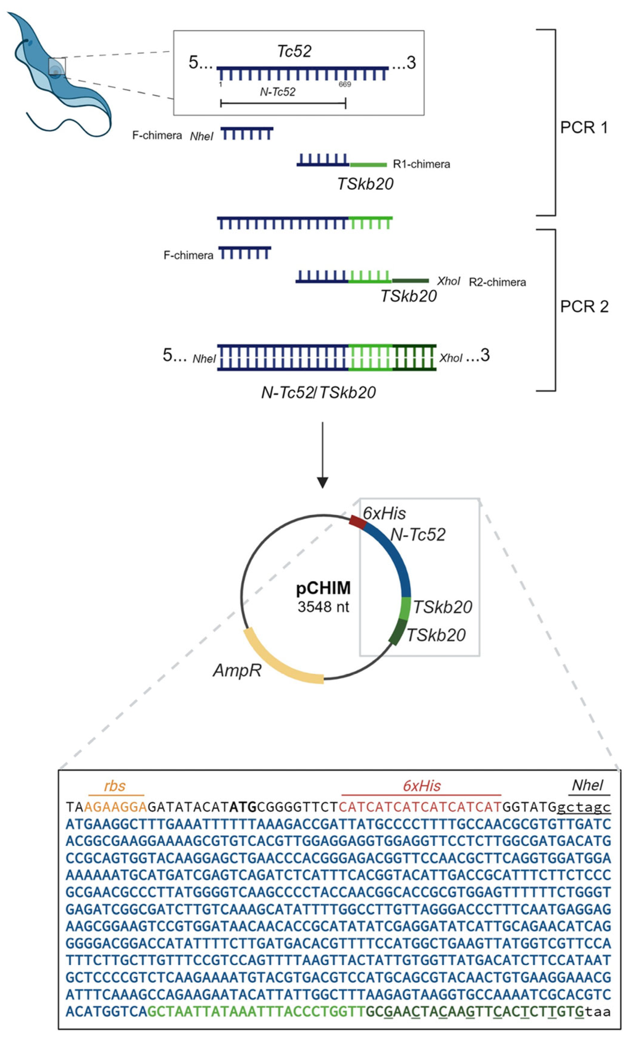 Vaccines 12 00621 g001 Vaccines 12 00621 g001