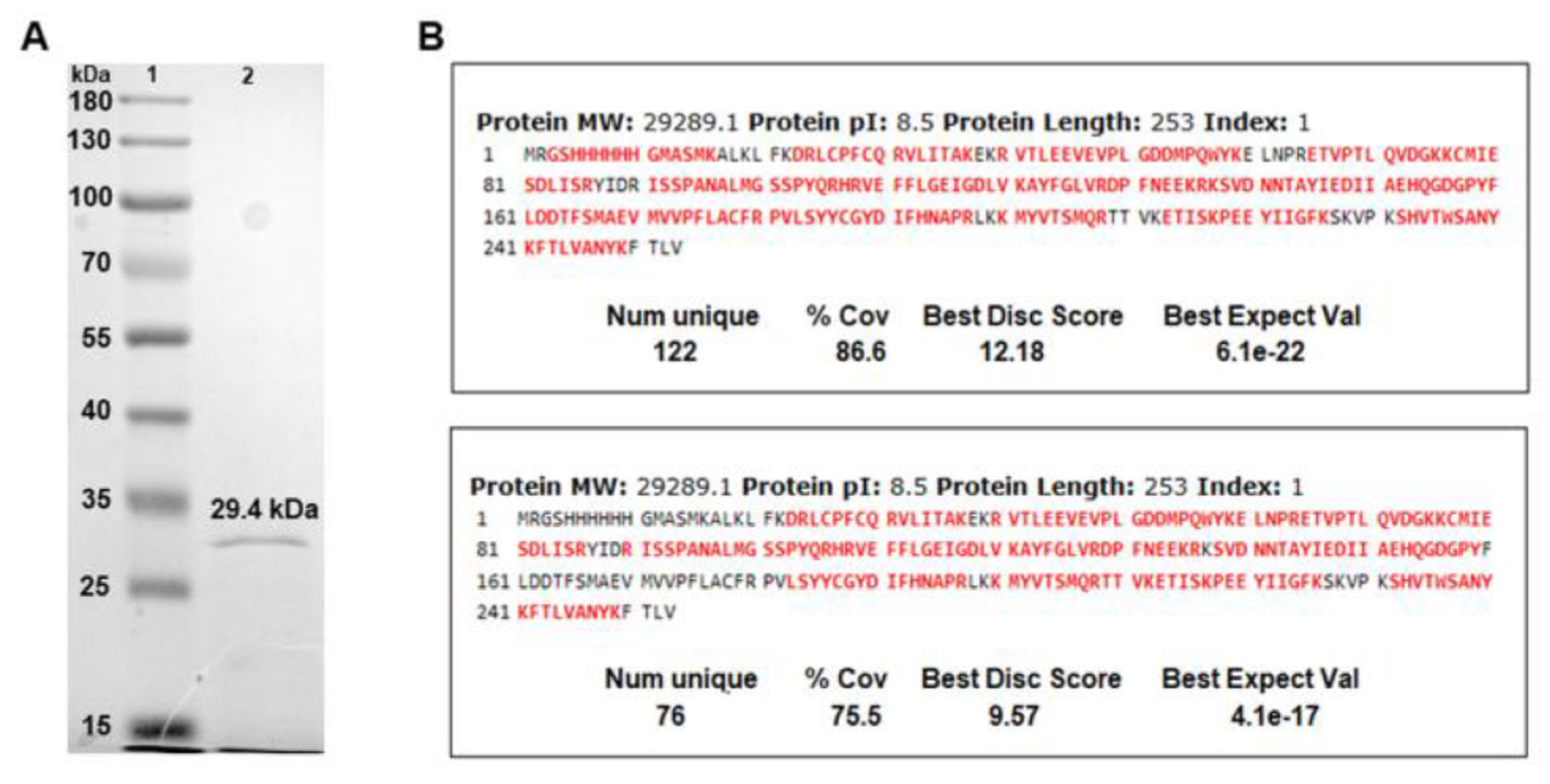 Vaccines 12 00621 g002 Vaccines 12 00621 g002