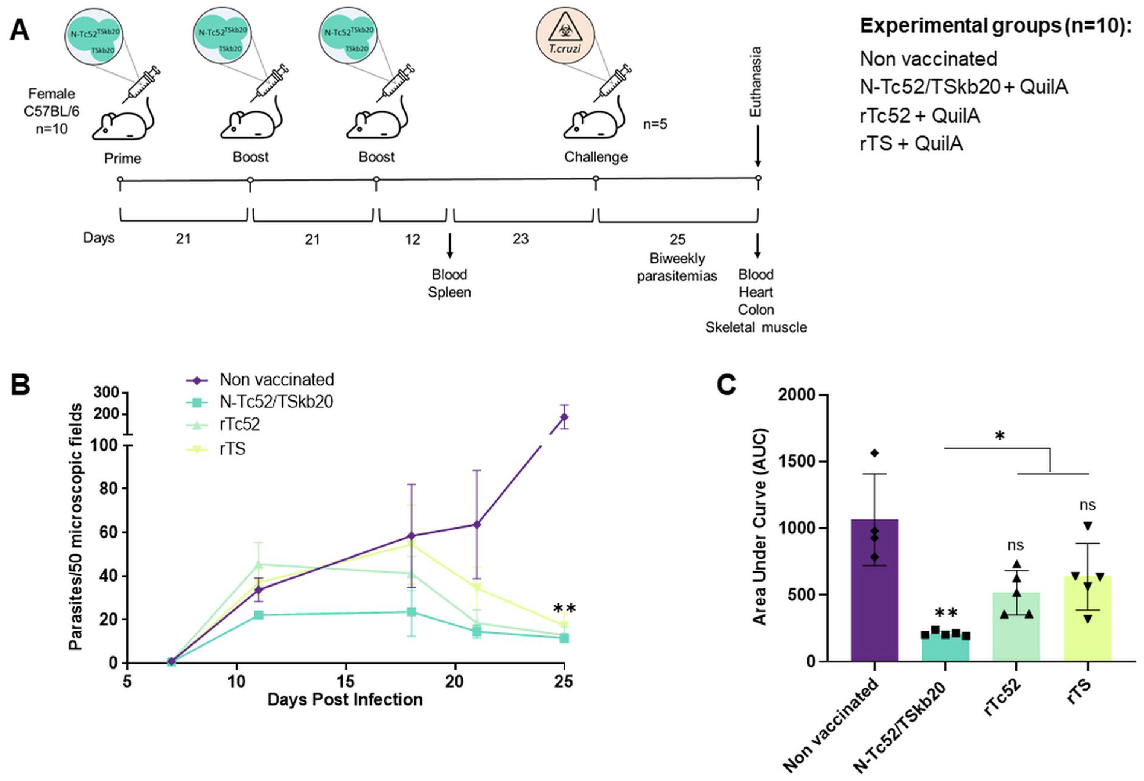 Vaccines 12 00621 g003 Vaccines 12 00621 g003