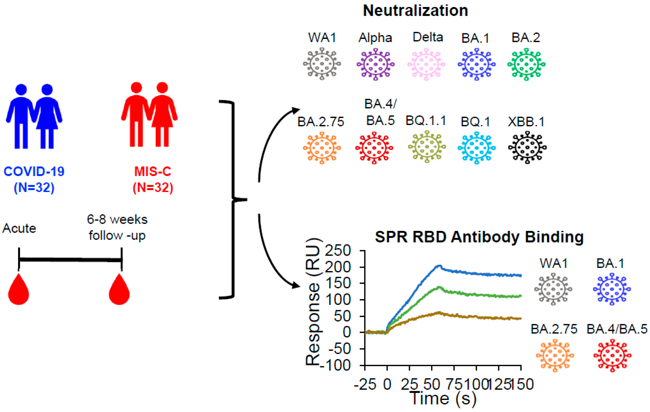 Vaccines 12 00638 g002