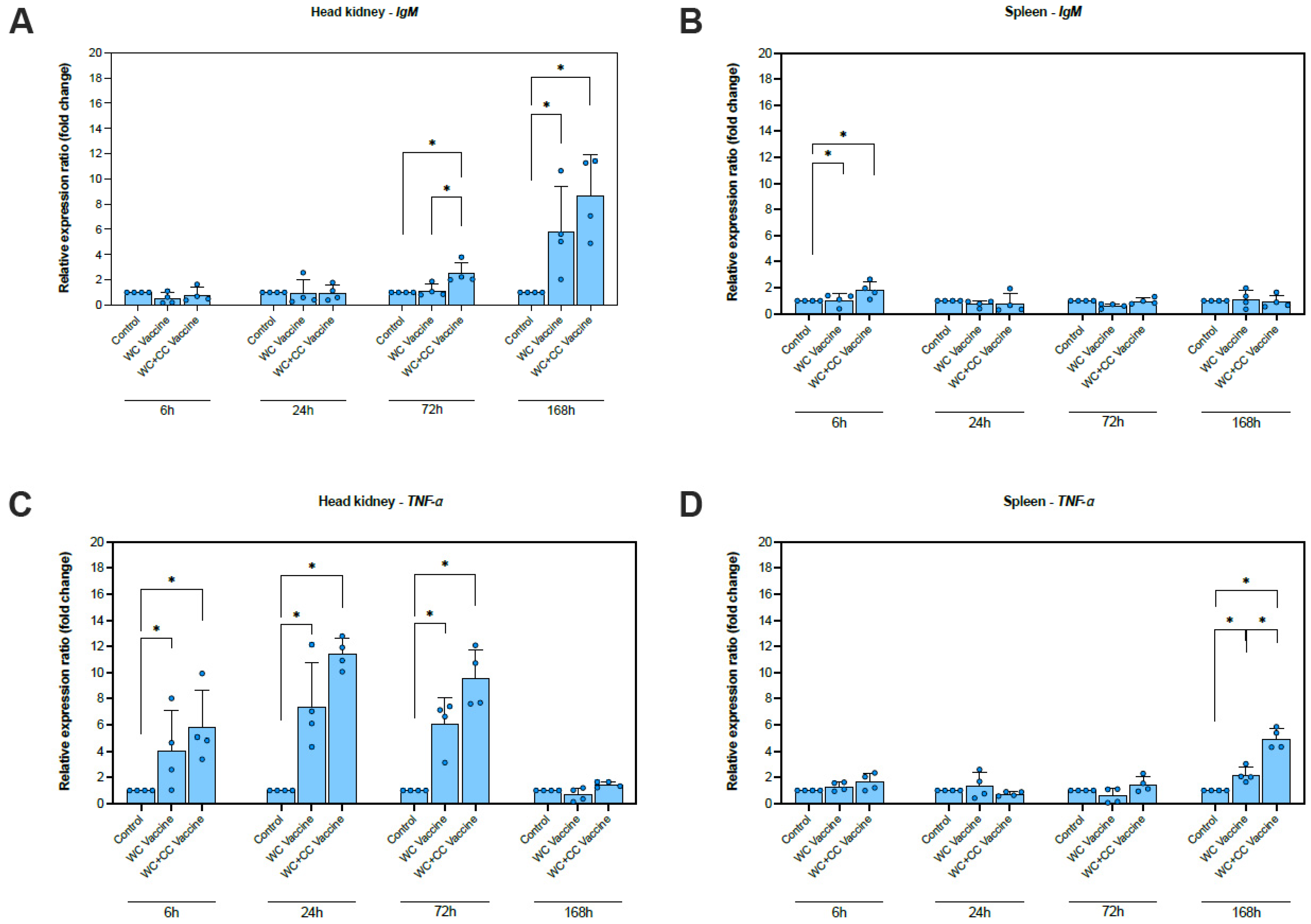 Vaccines 12 00641 g002a
