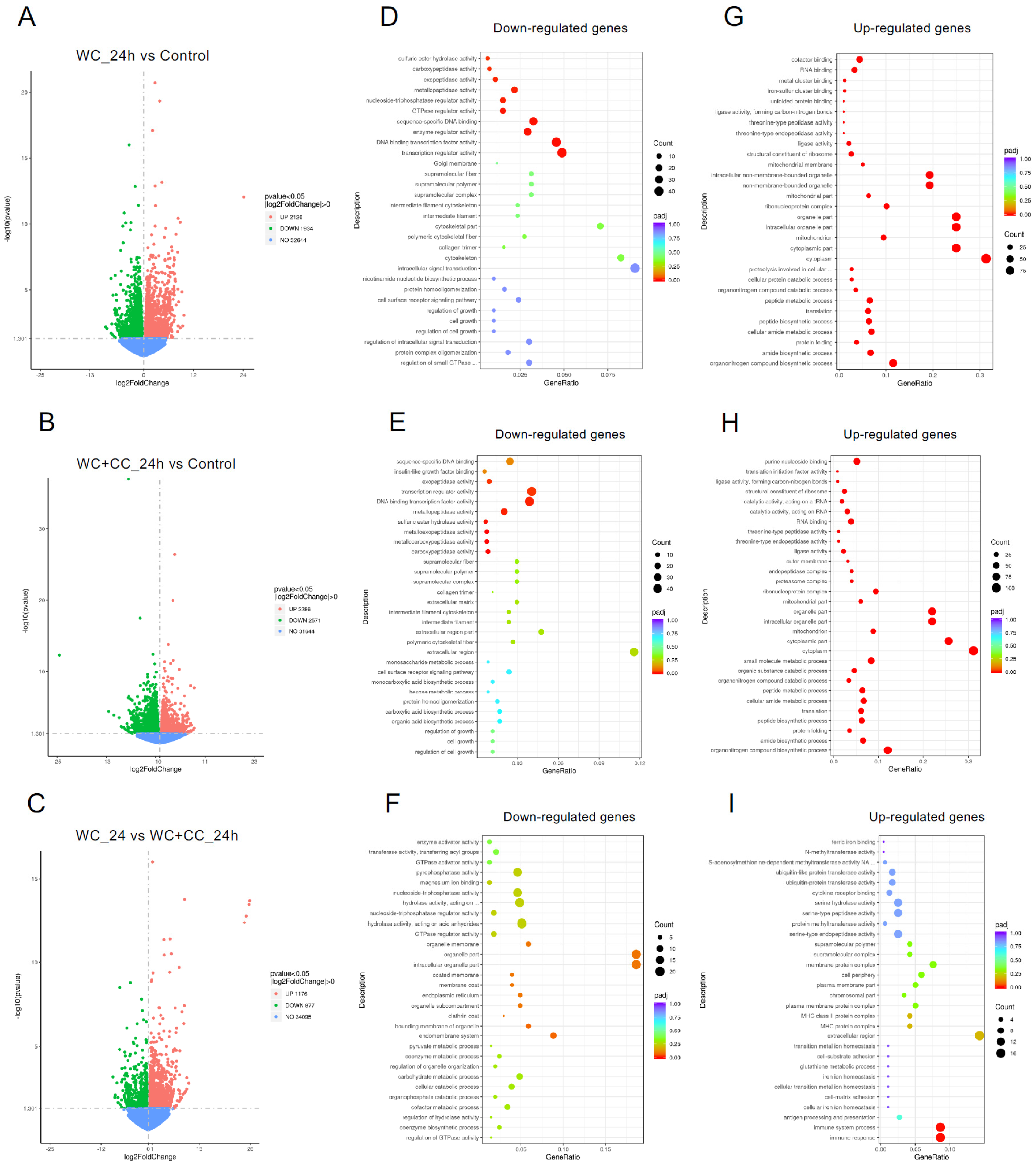 Vaccines 12 00641 g004