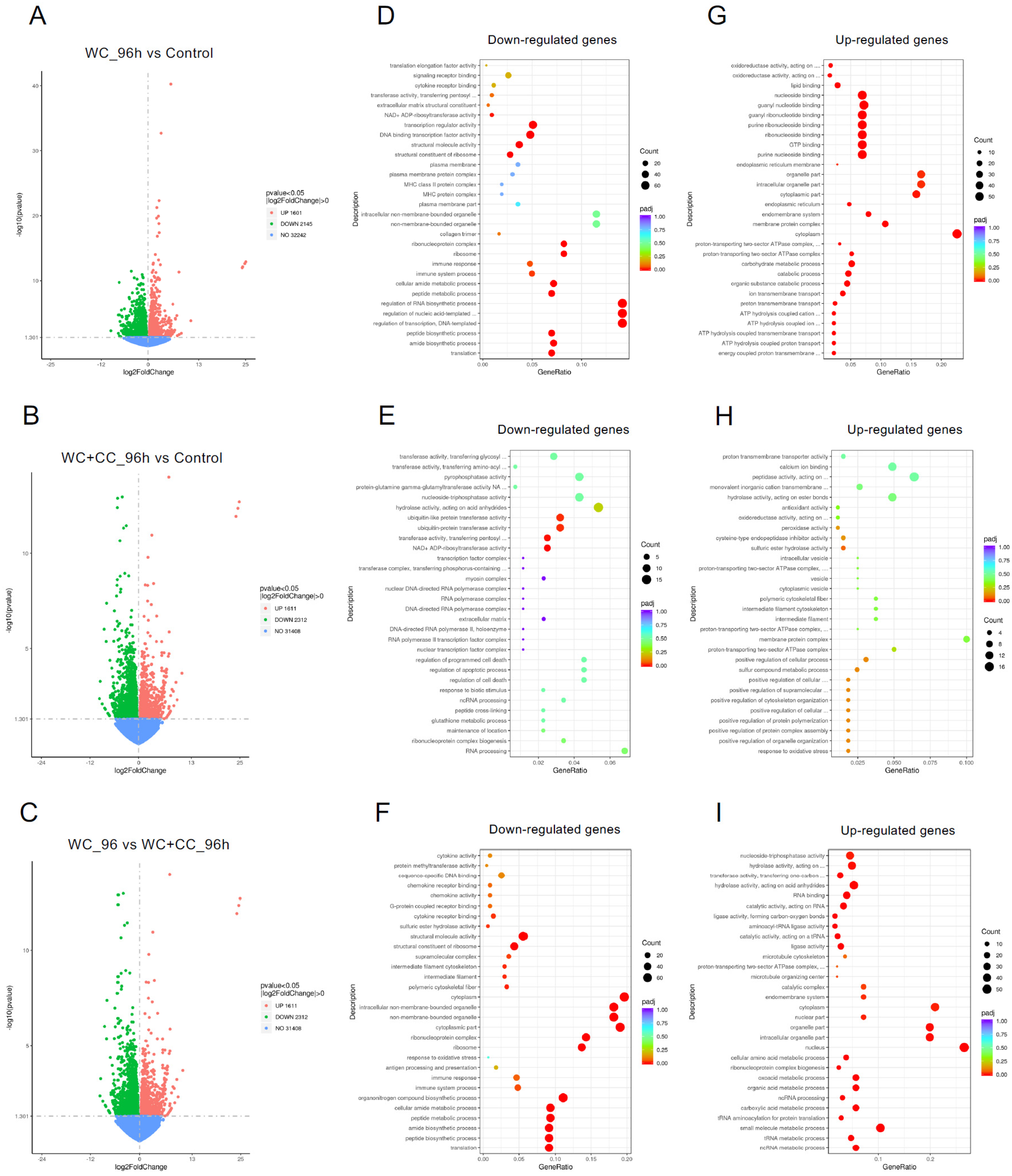 Vaccines 12 00641 g005