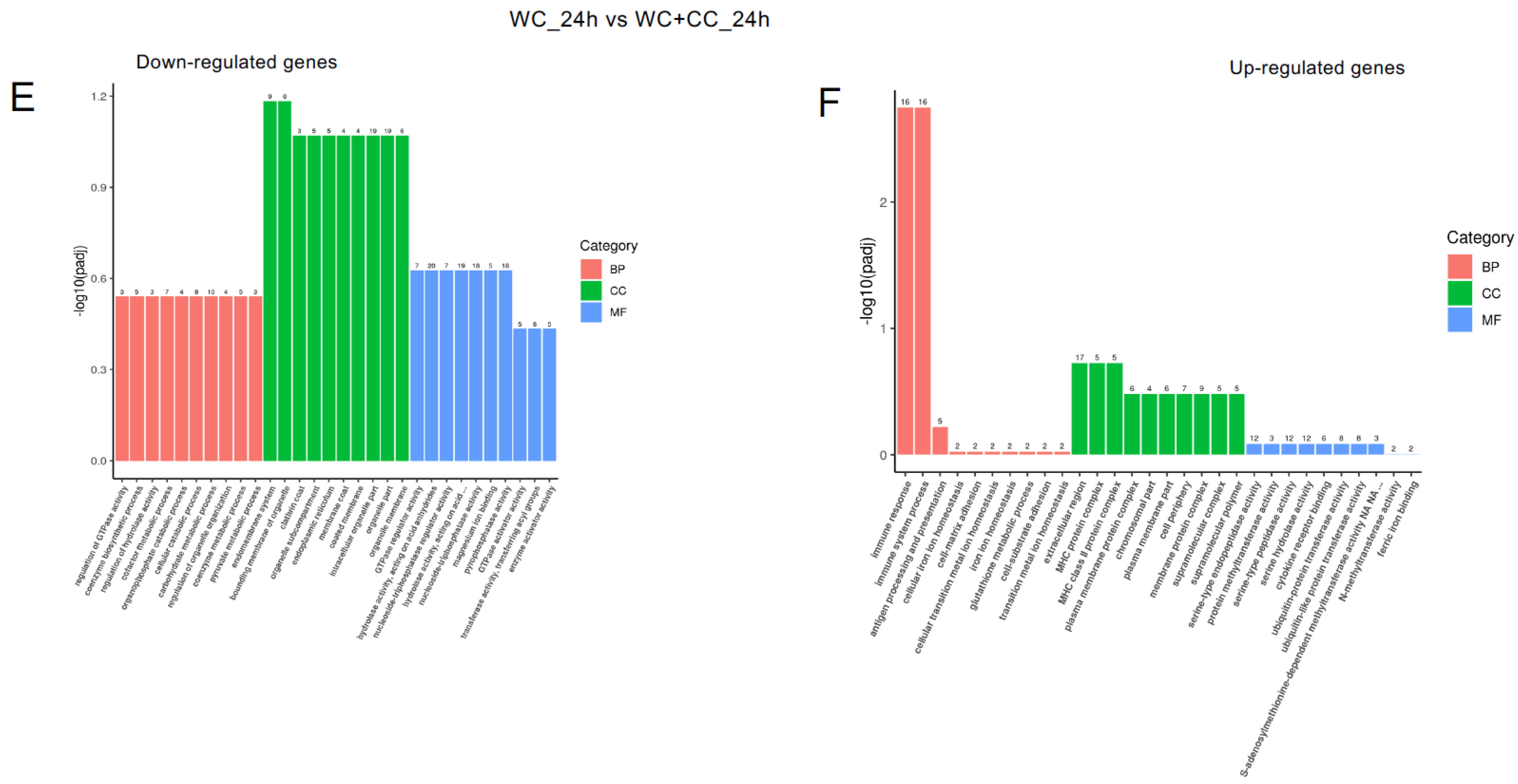 Vaccines 12 00641 g006b