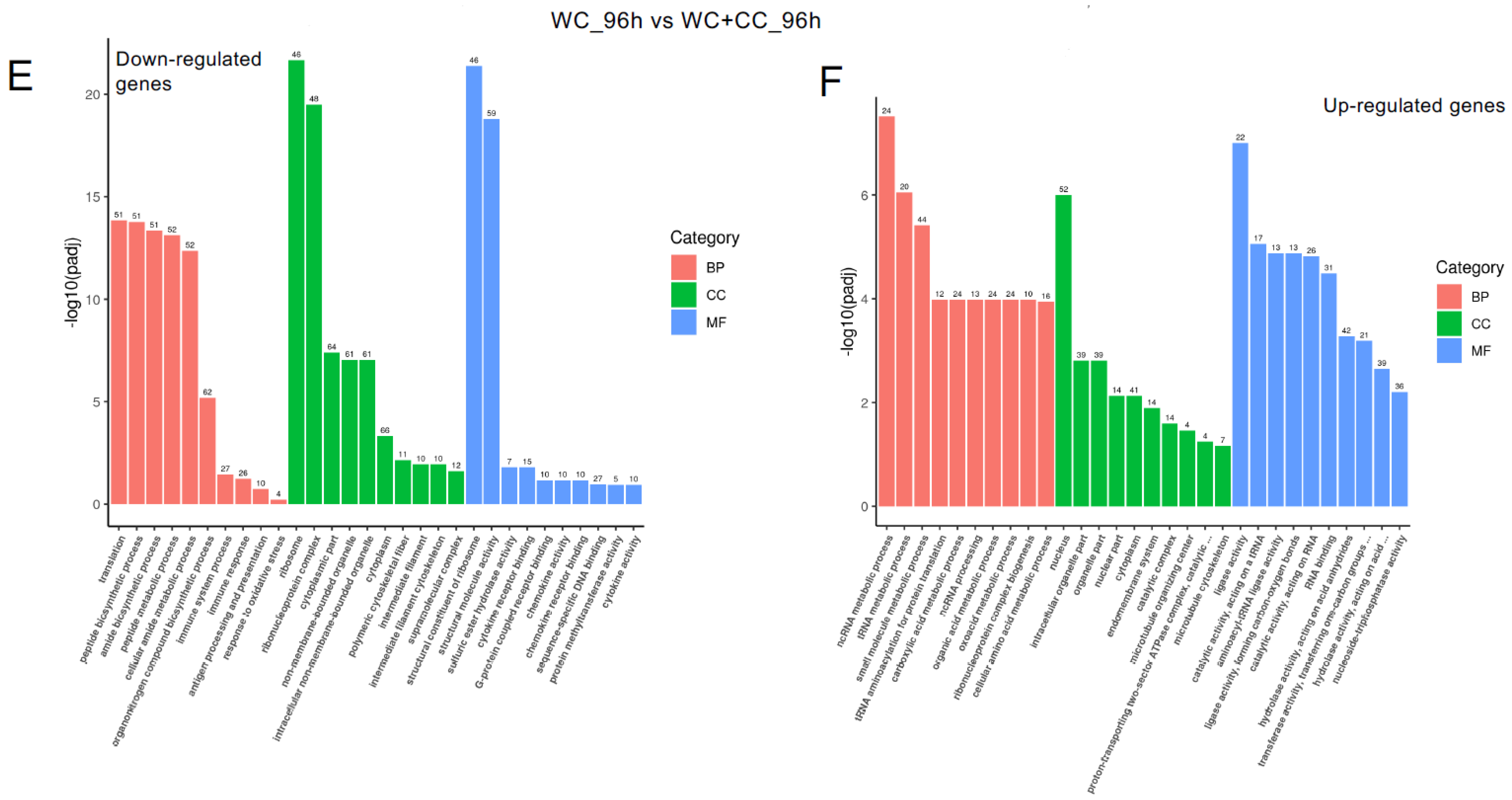 Vaccines 12 00641 g007b