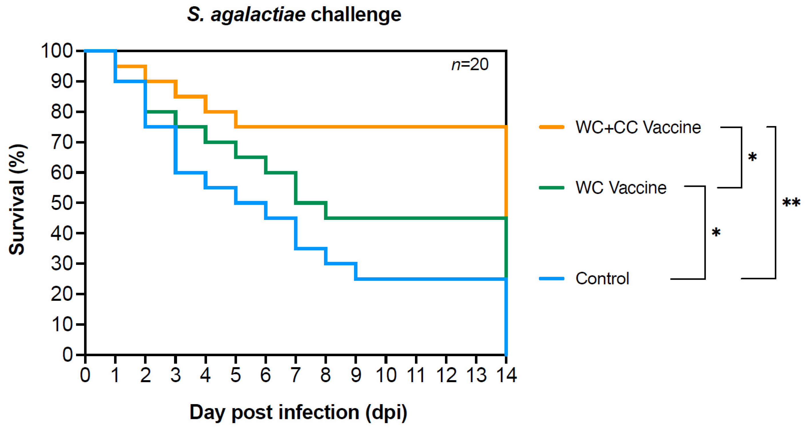 Vaccines 12 00641 g009
