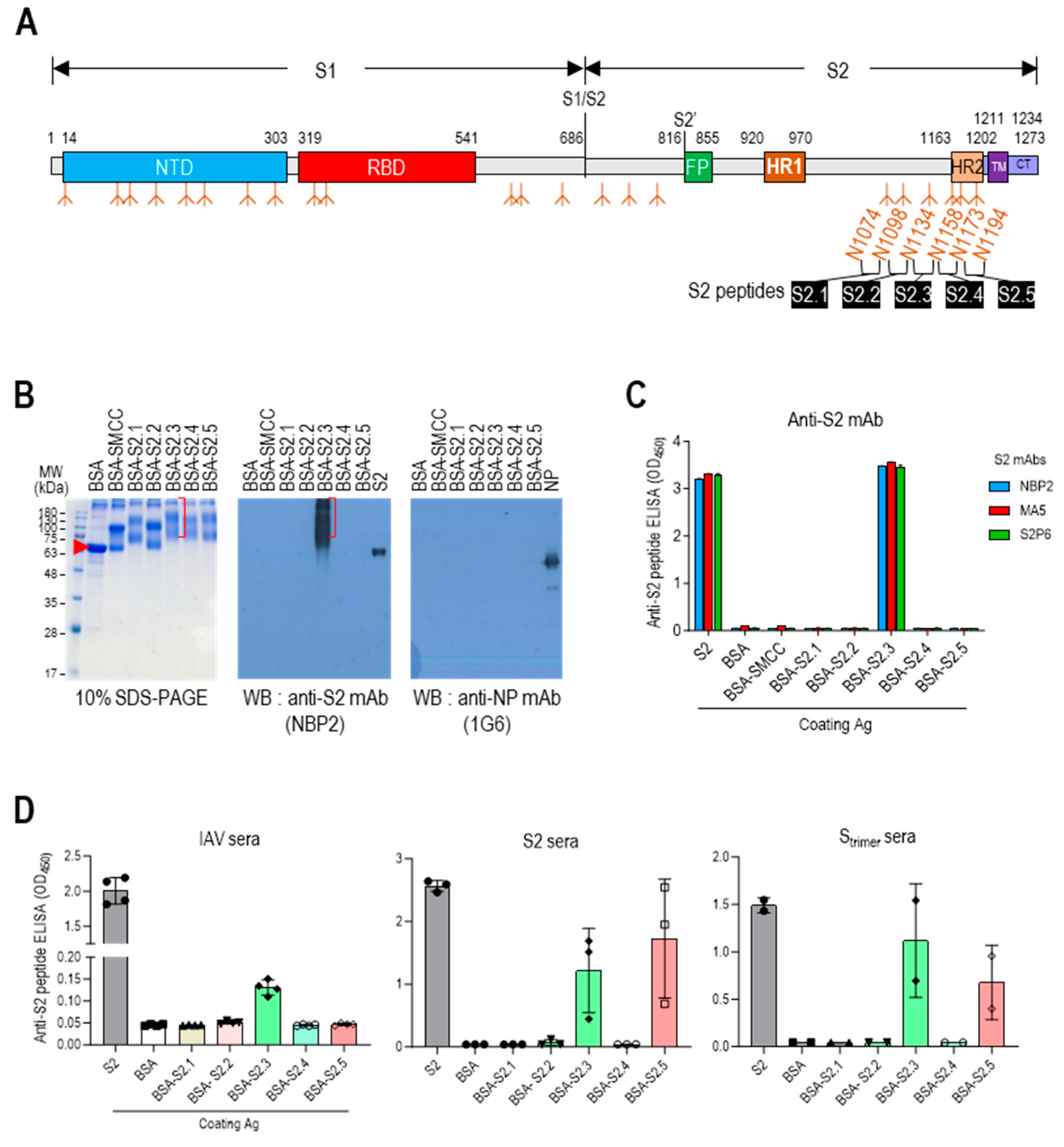 Vaccines 12 00676 g001