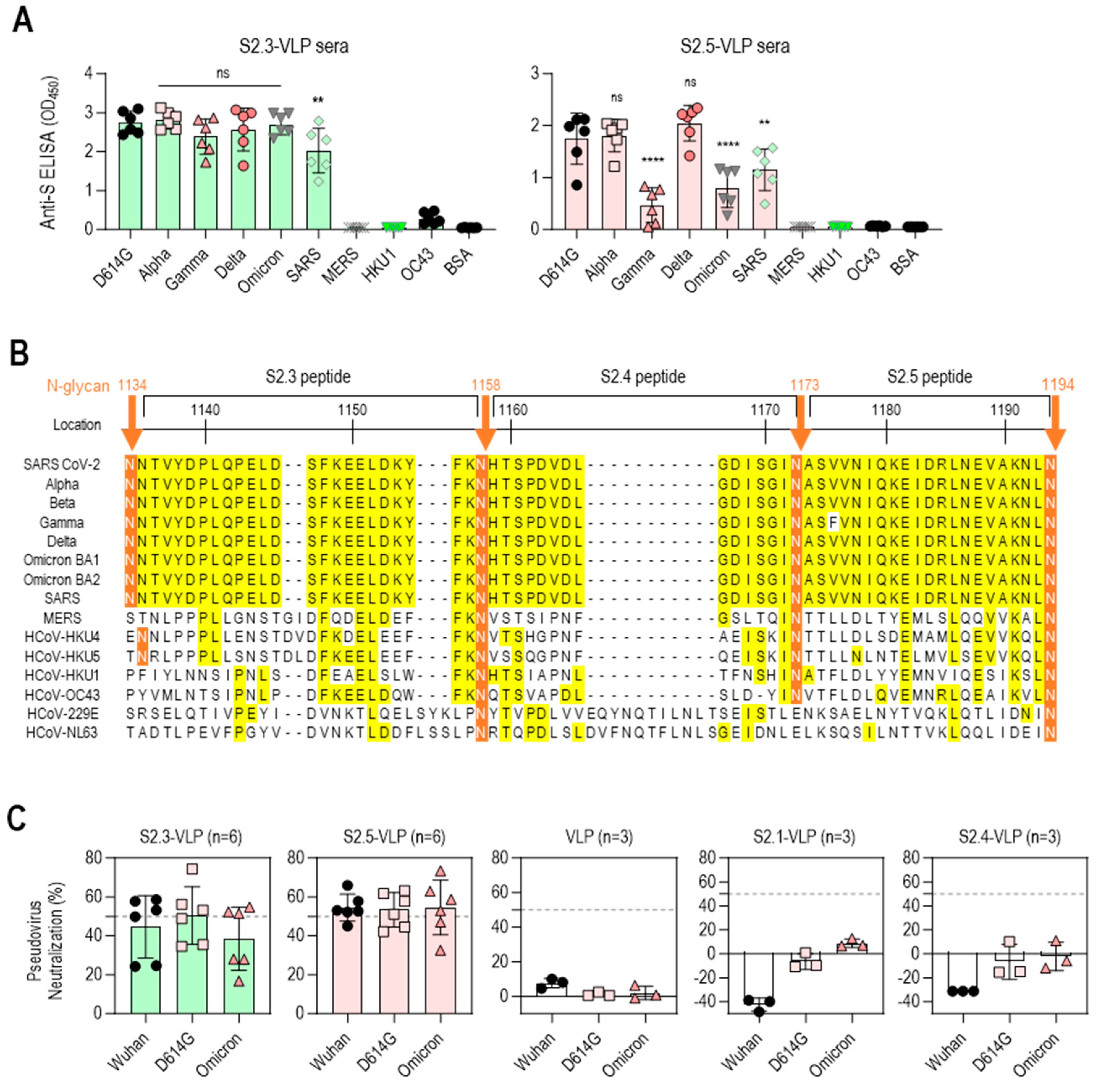 Vaccines 12 00676 g004