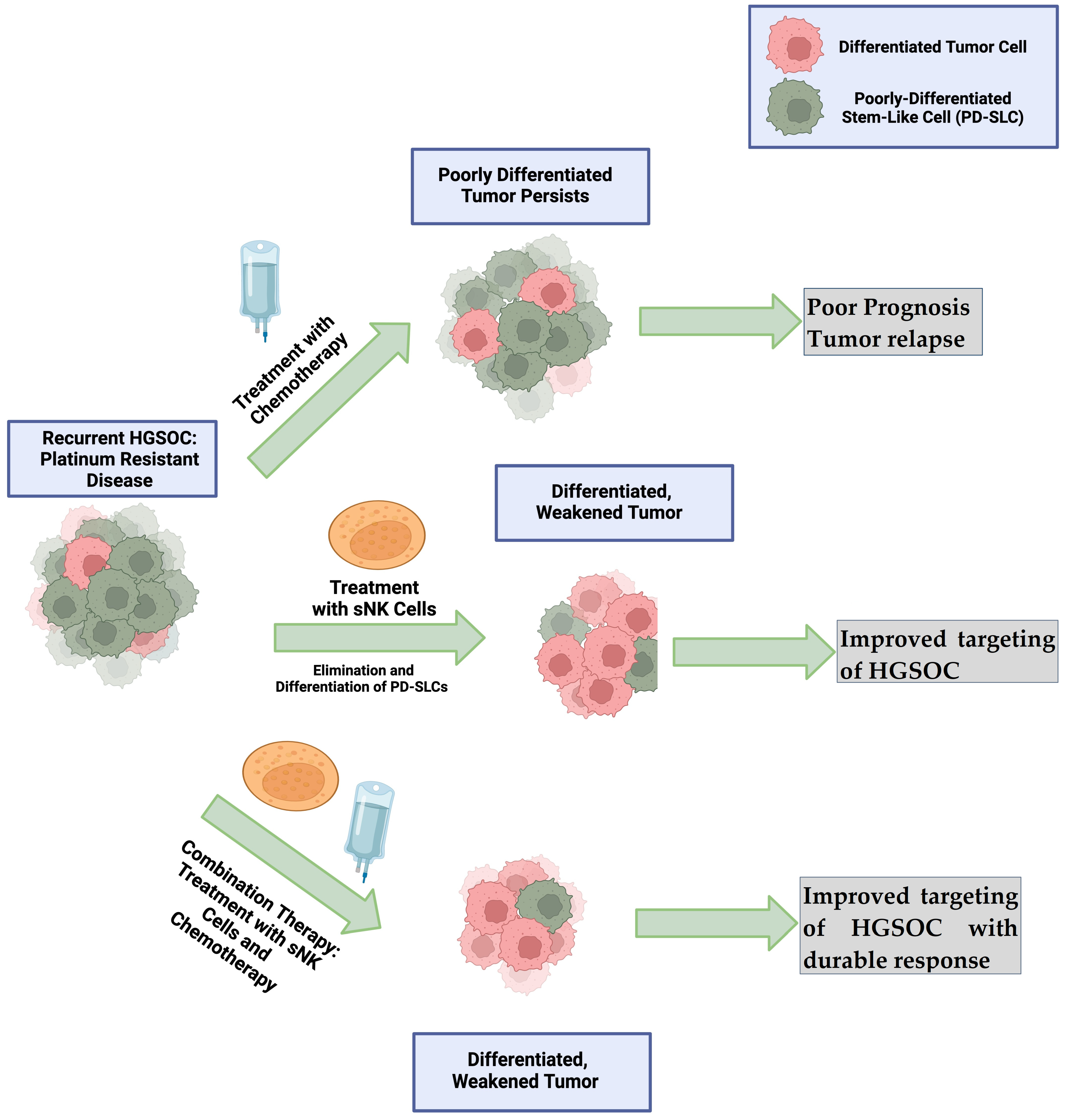 Vaccines 12 00677 g003