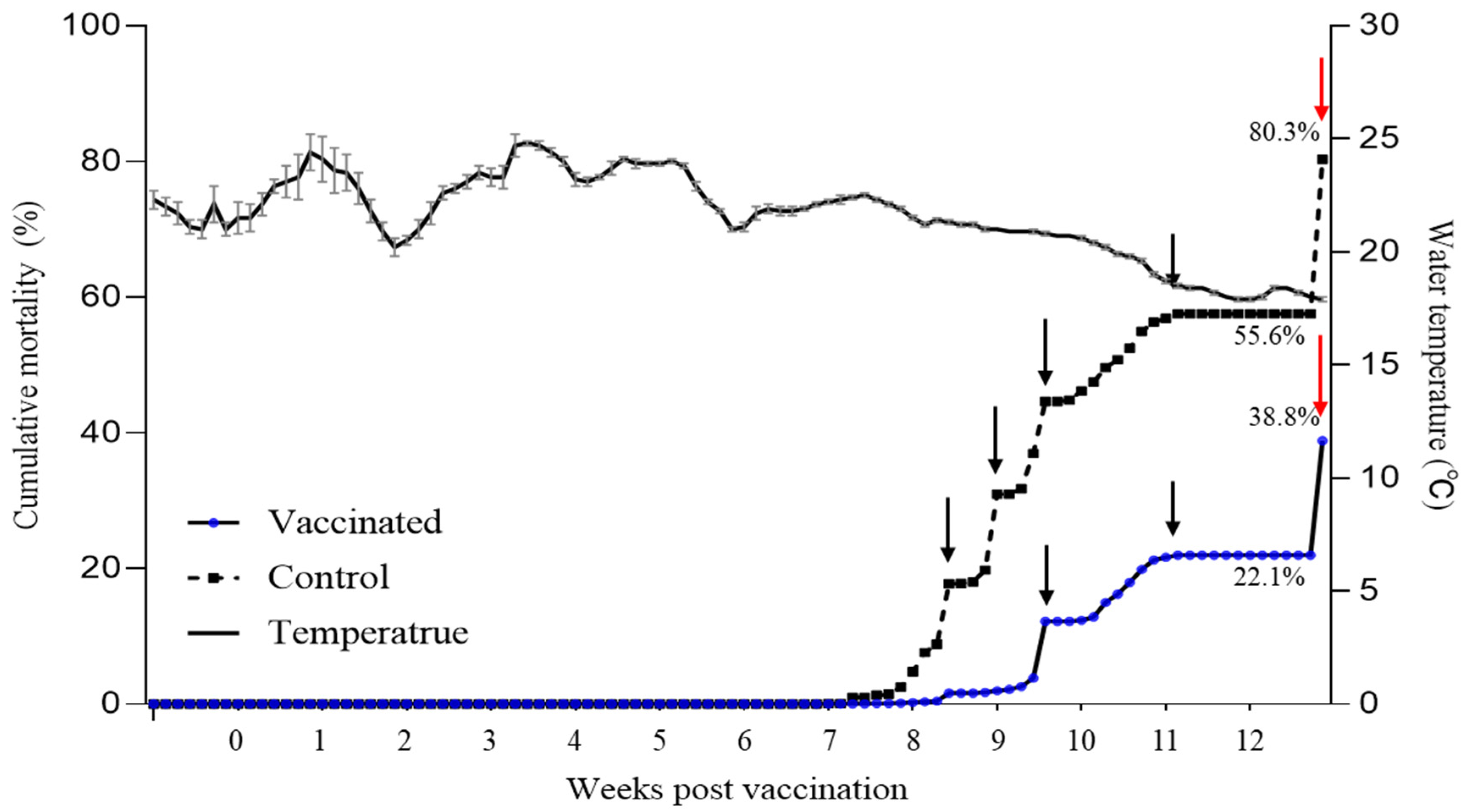 Vaccines 12 00680 g006