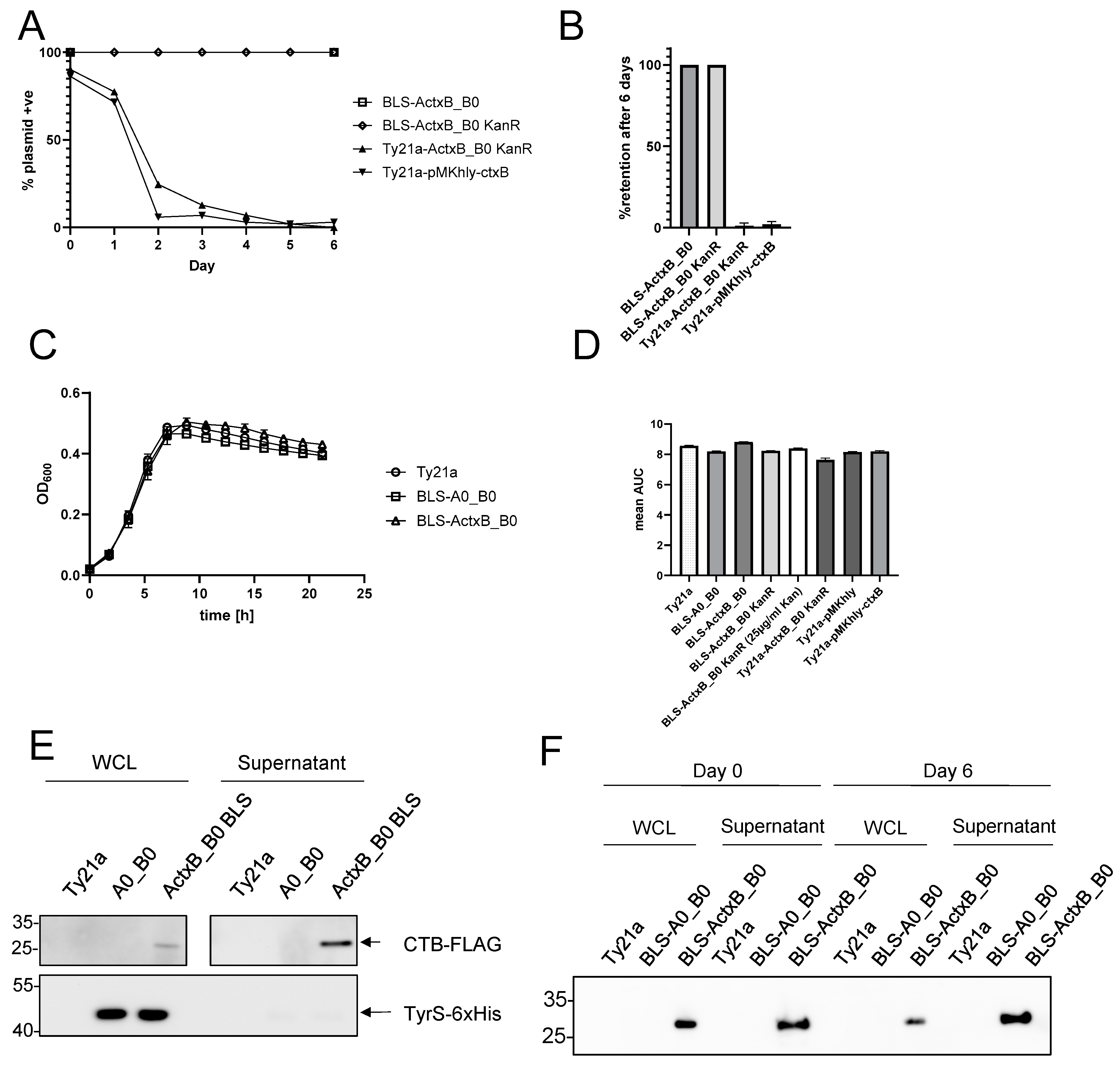 Vaccines 12 00687 g003