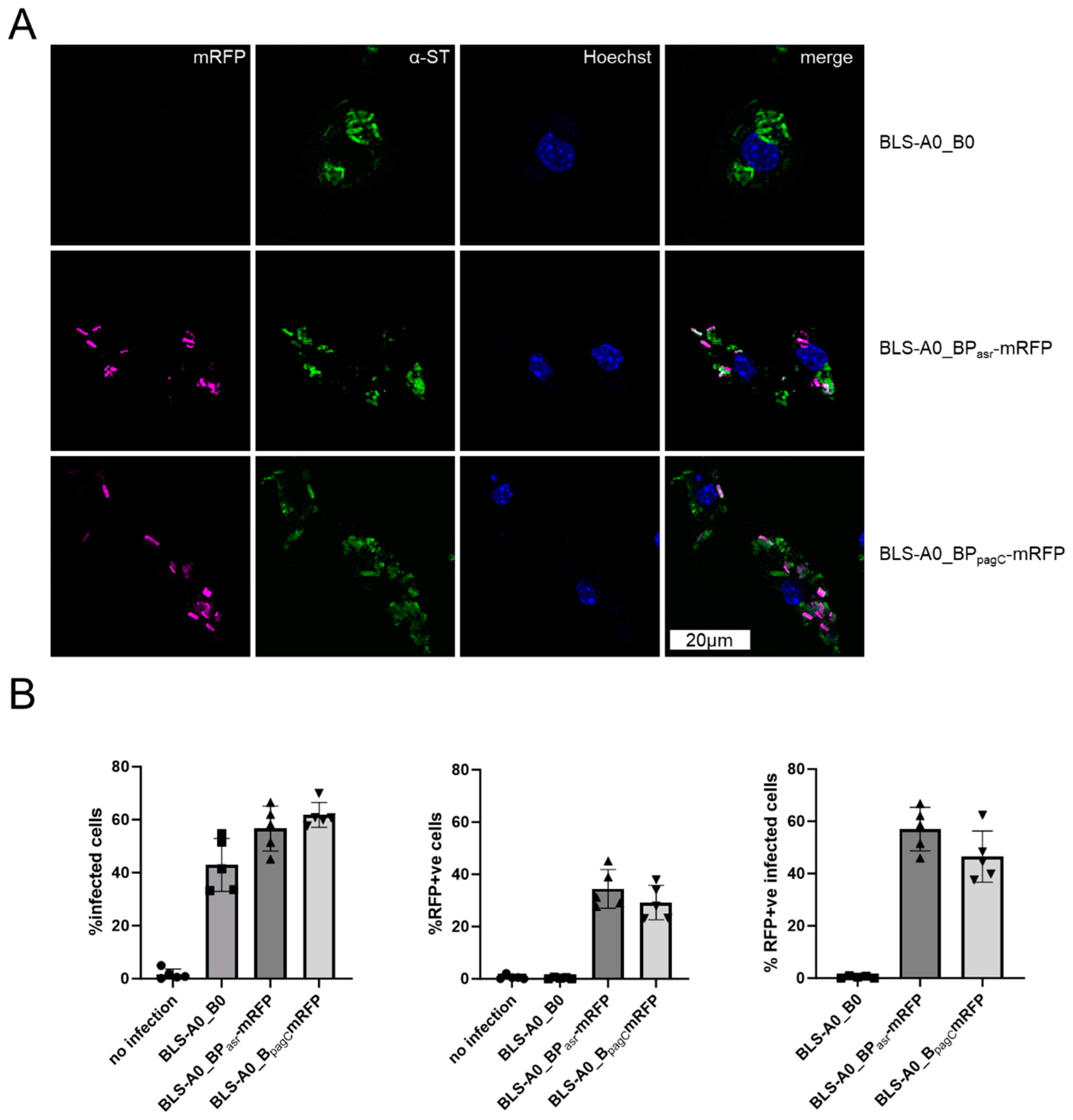 Vaccines 12 00687 g004