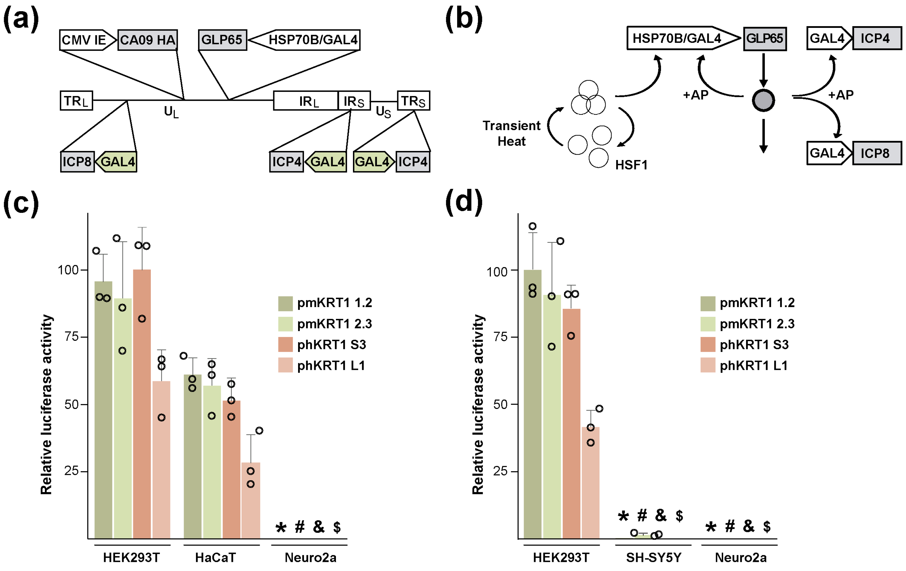 Vaccines 12 00703 g001 Vaccines 12 00703 g001