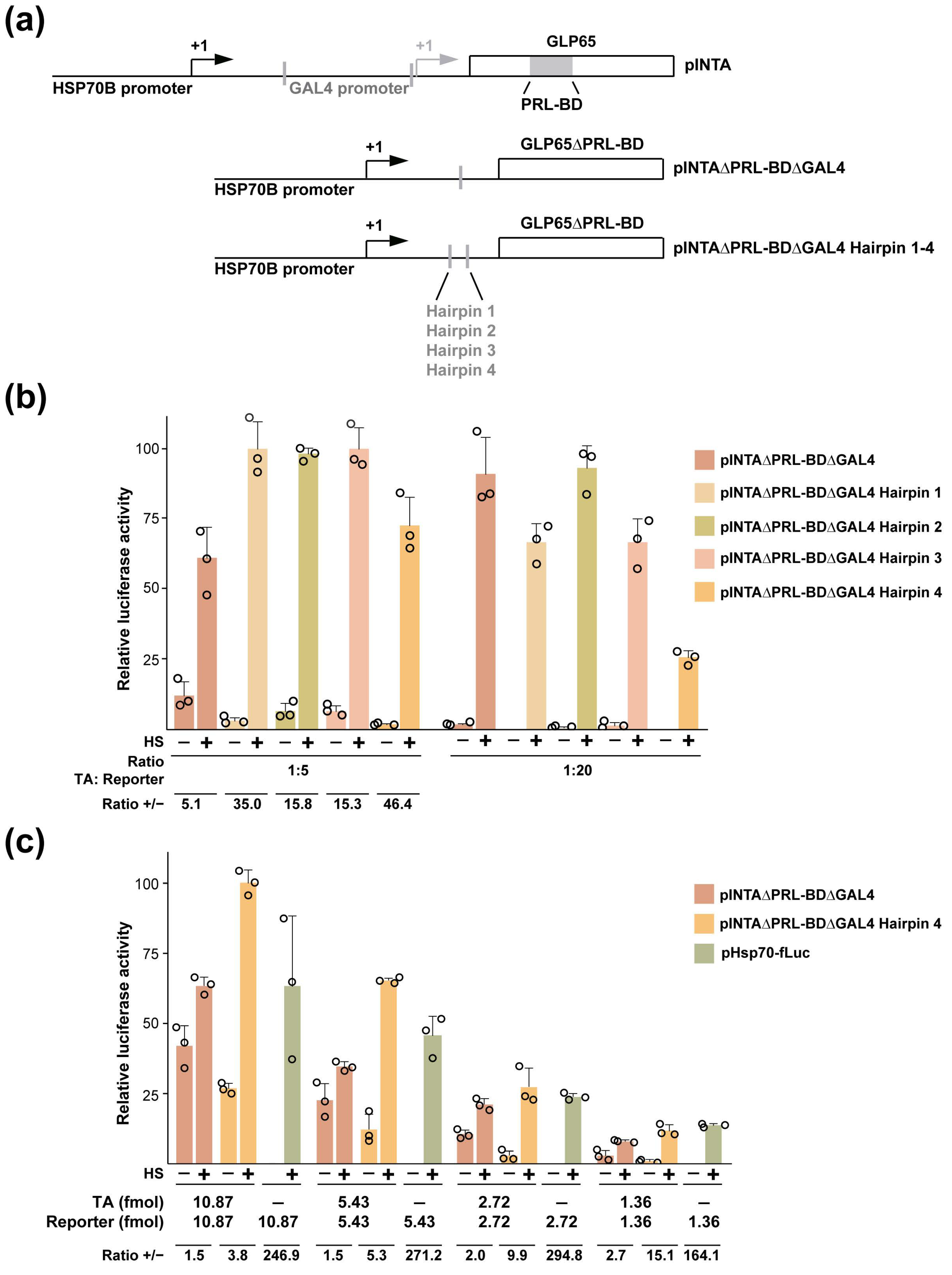 Vaccines 12 00703 g003 Vaccines 12 00703 g003