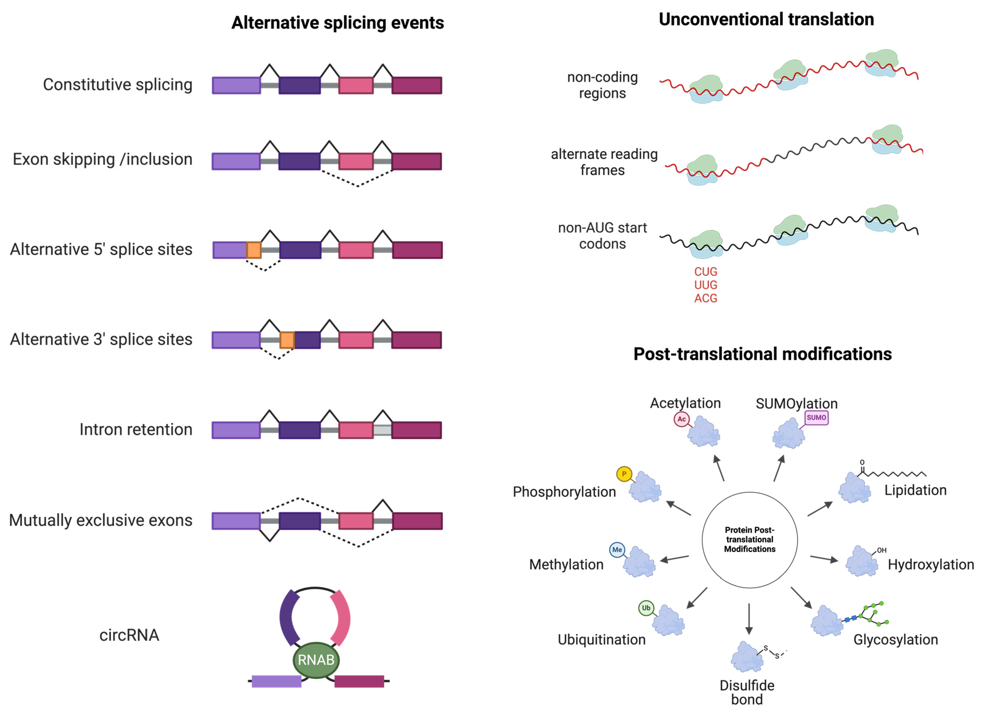 Vaccines 12 00717 g002