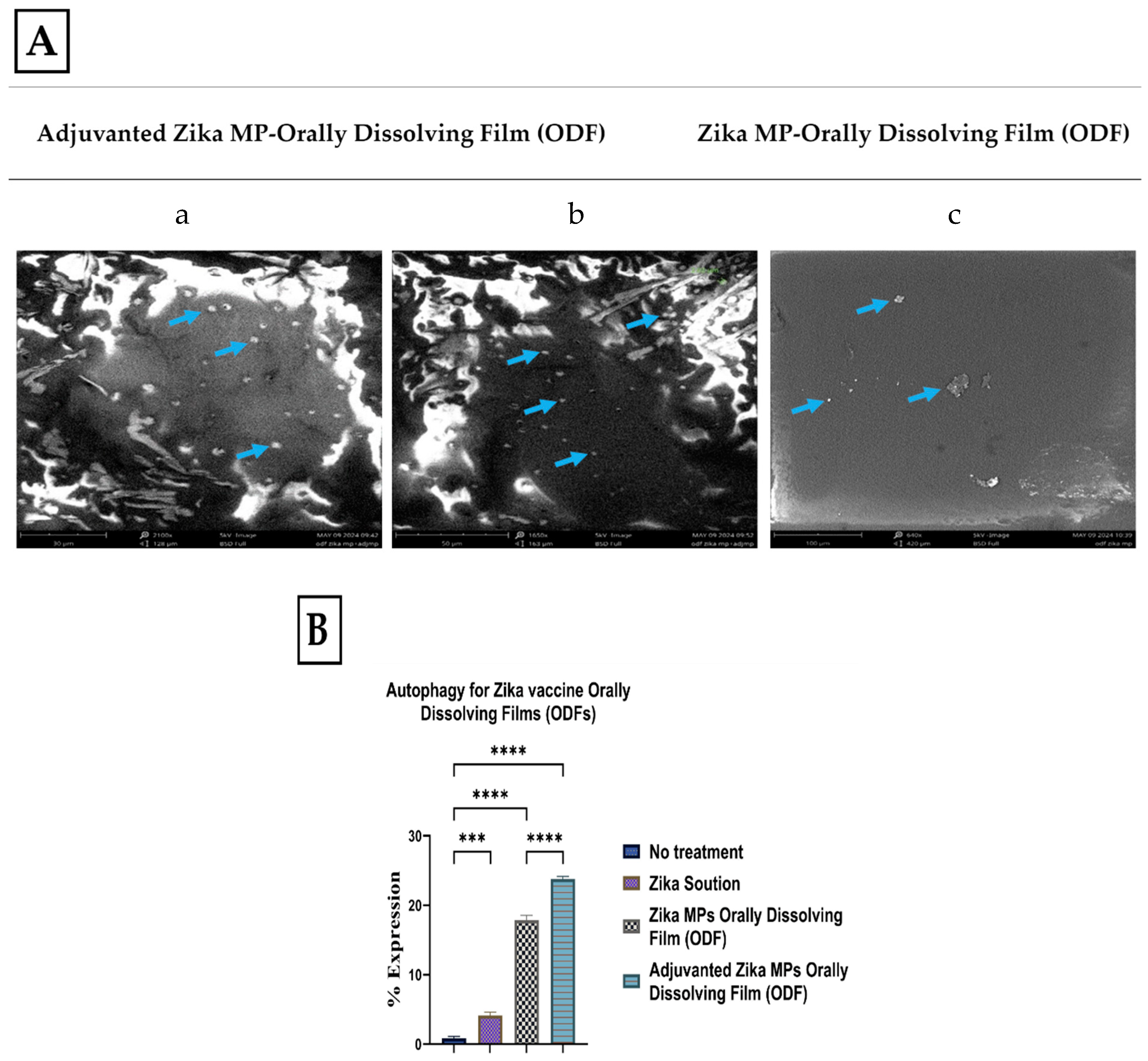 Vaccines 12 00720 g004