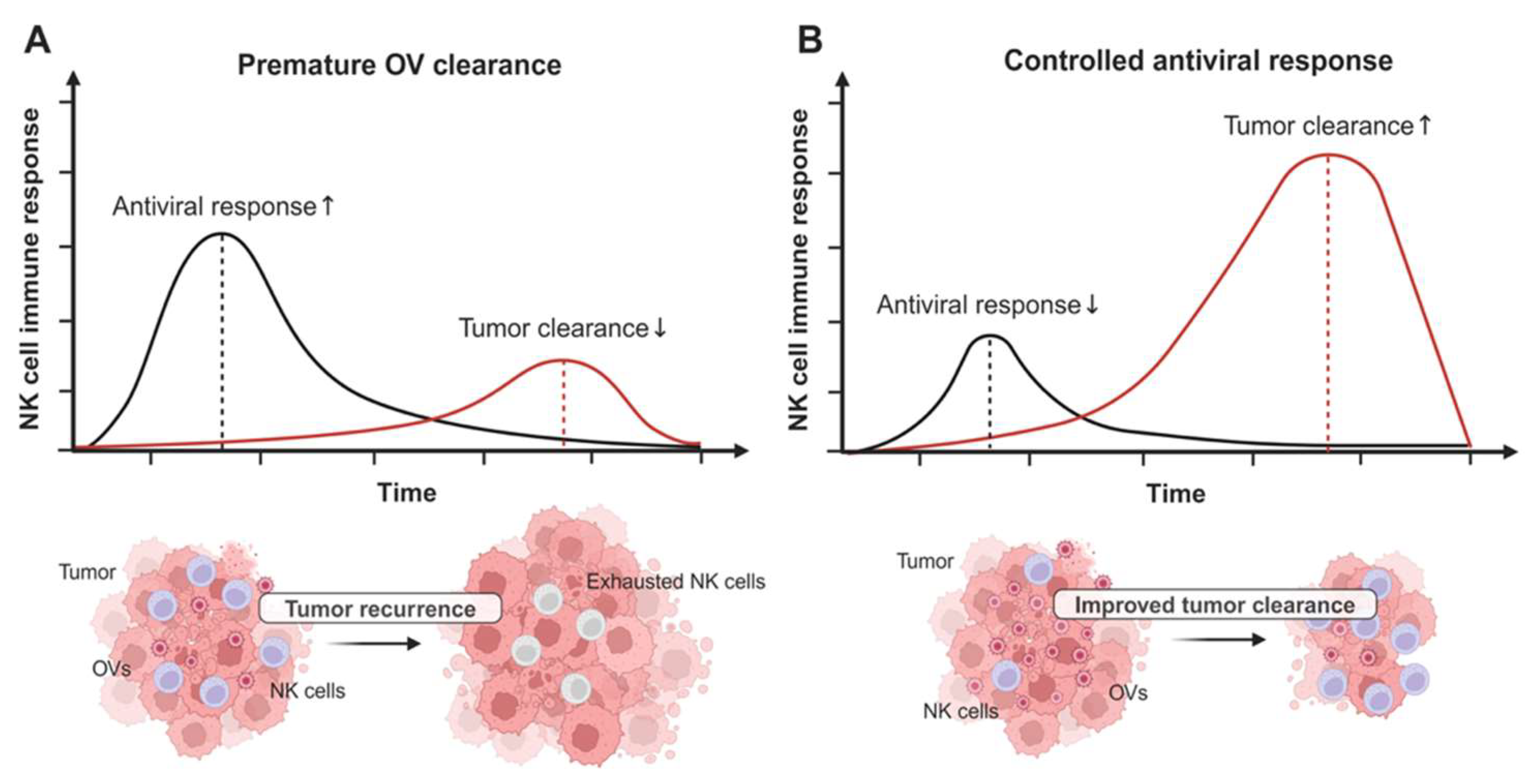 Vaccines 12 00721 g001