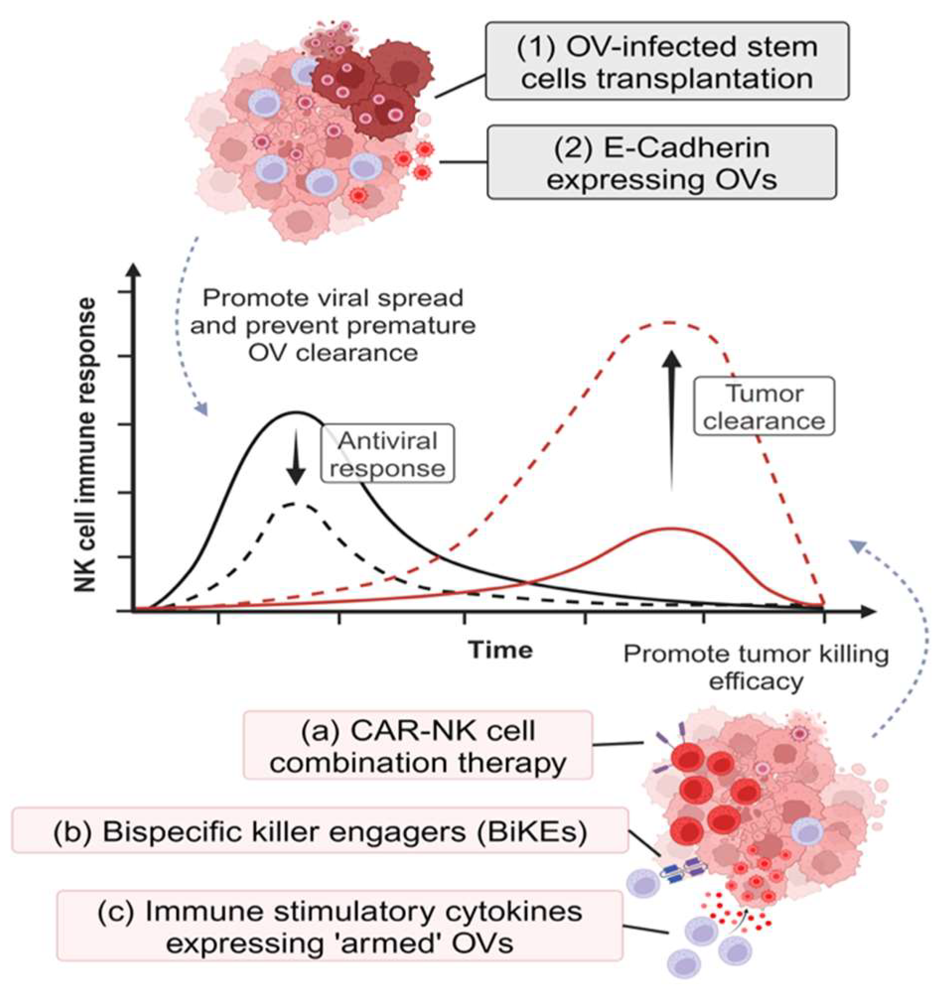 Vaccines 12 00721 g003
