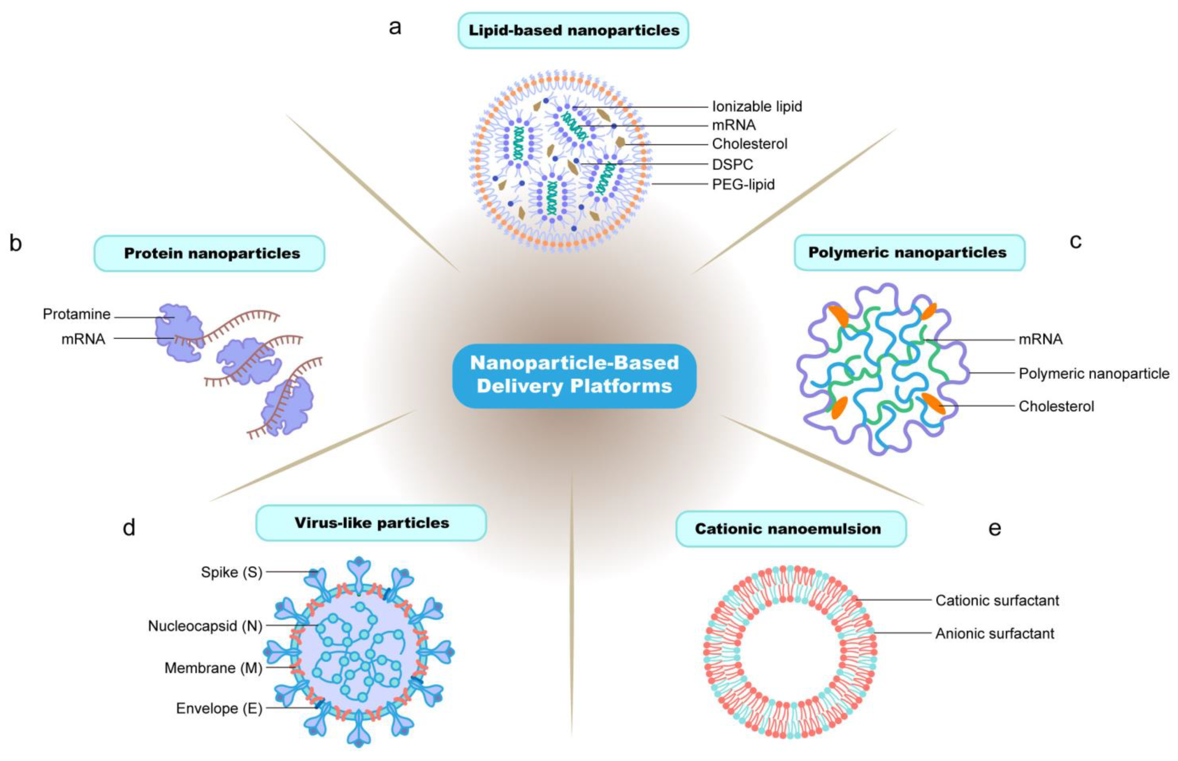 Vaccines 12 00727 g001