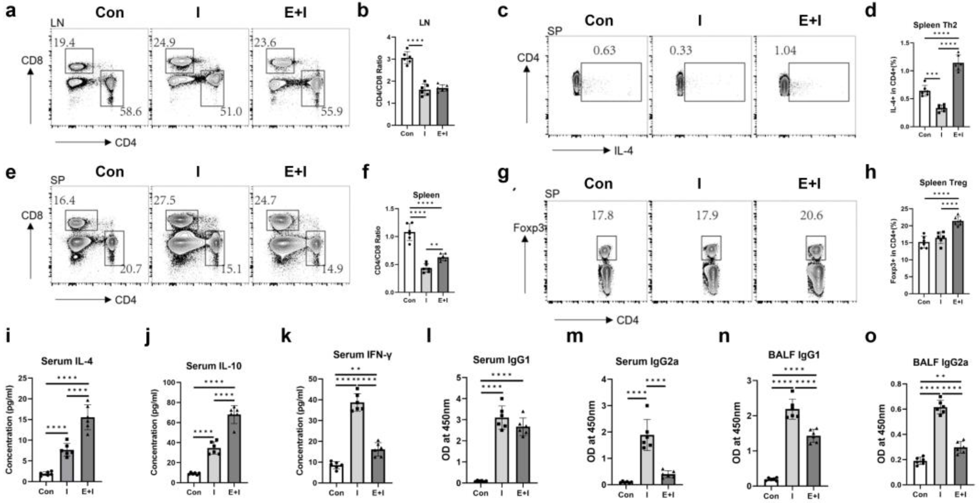 Vaccines 12 00729 g003