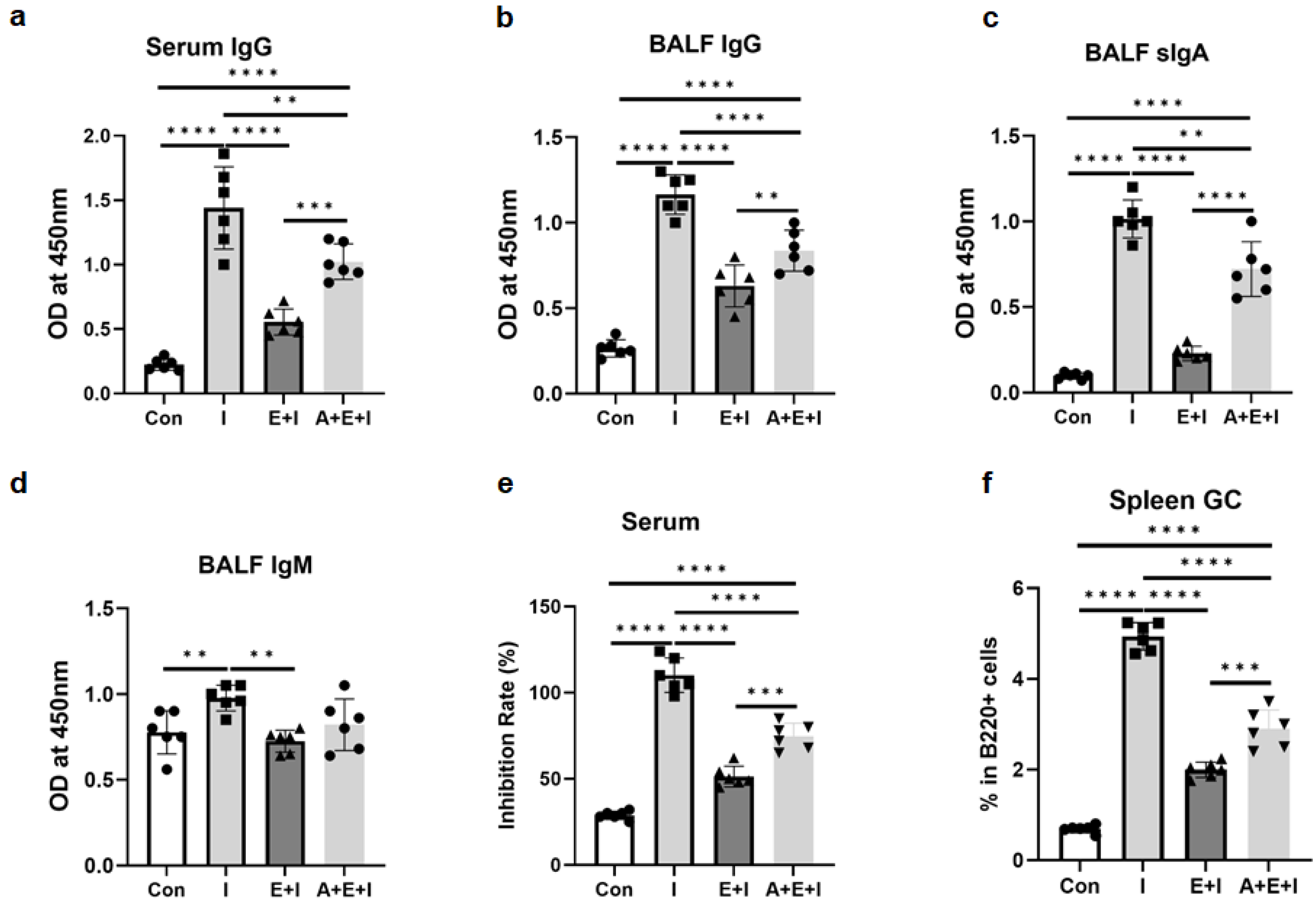Vaccines 12 00729 g005