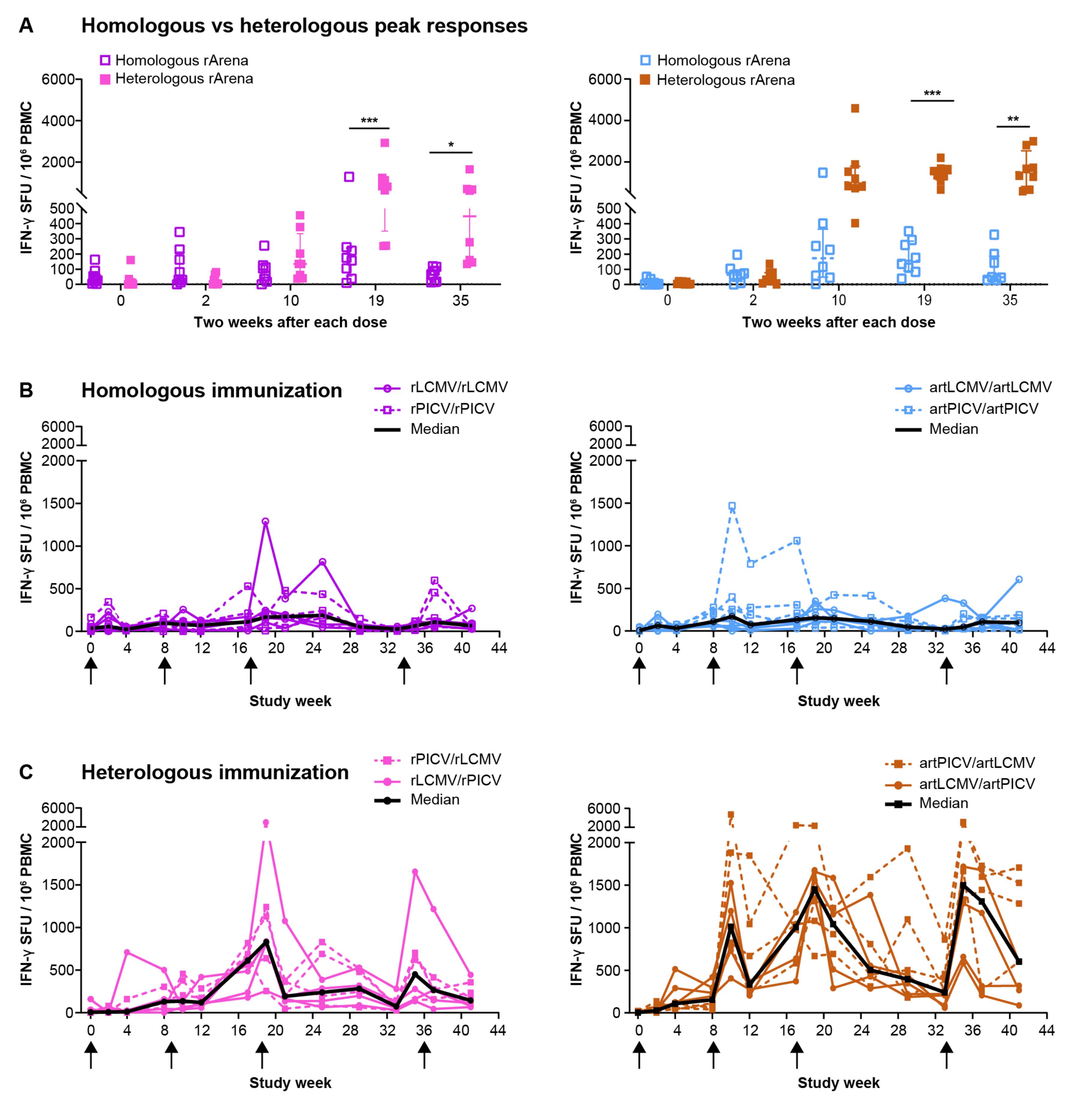 Vaccines 12 00735 g002