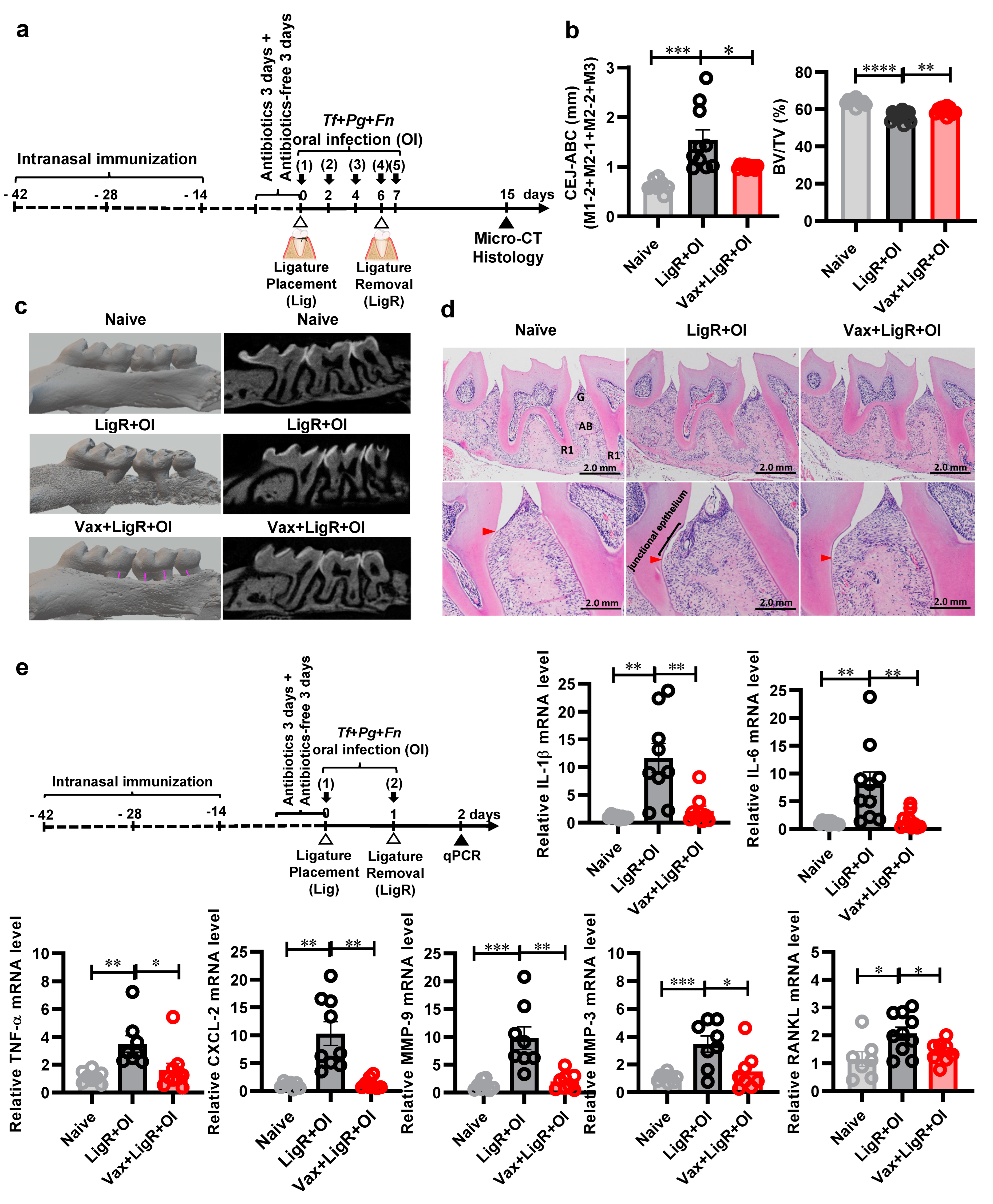 Vaccines 12 00754 g001