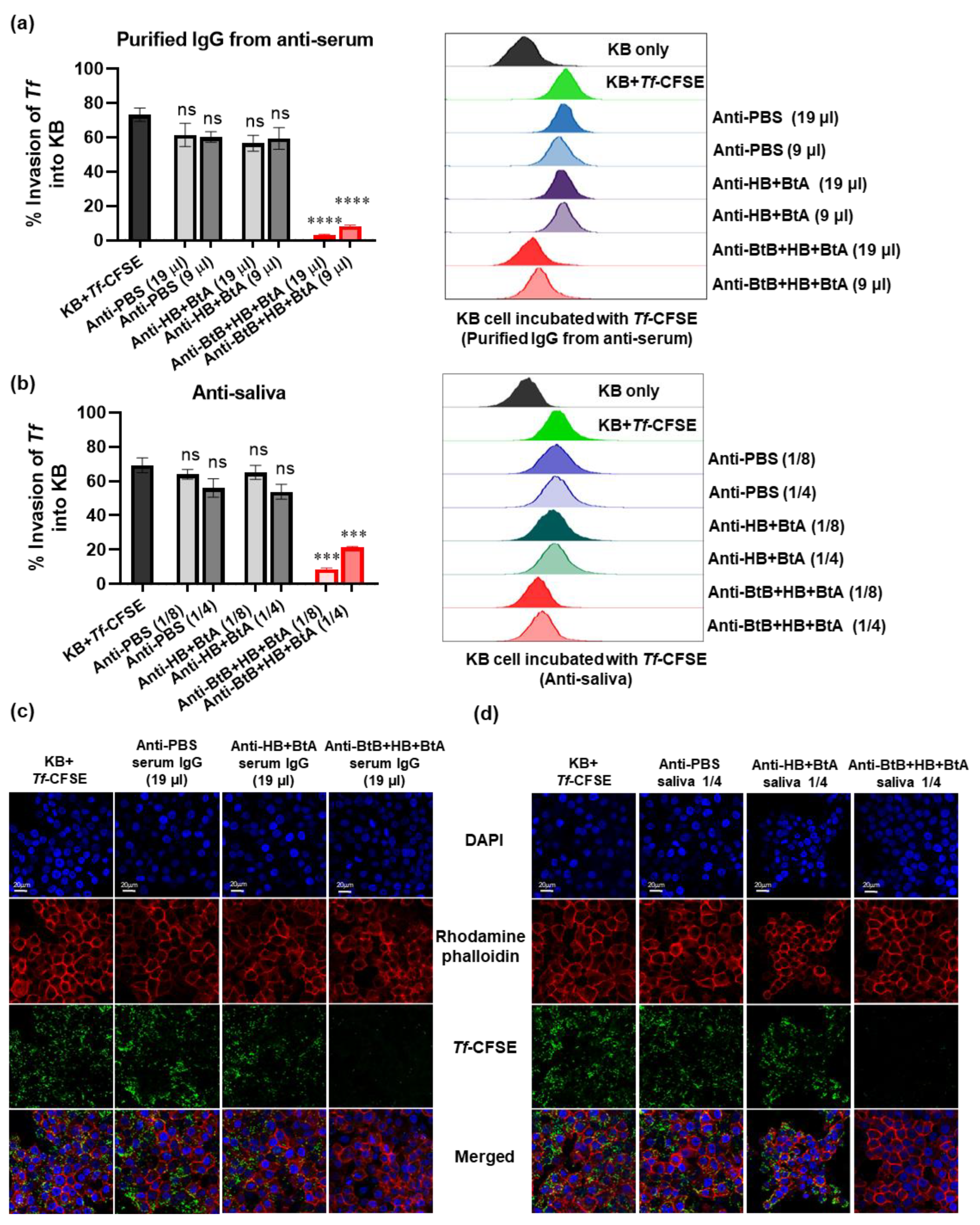 Vaccines 12 00754 g004