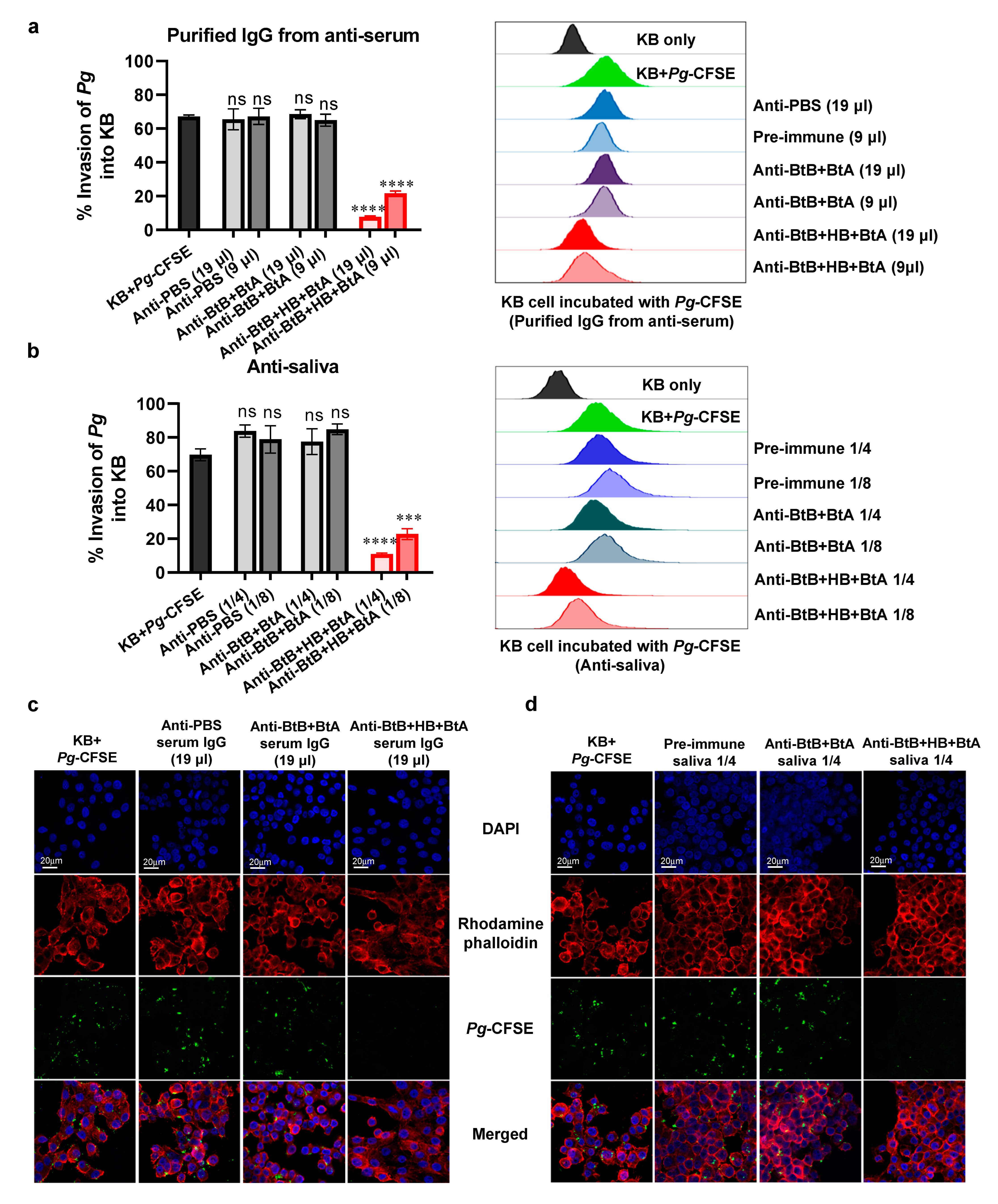 Vaccines 12 00754 g005