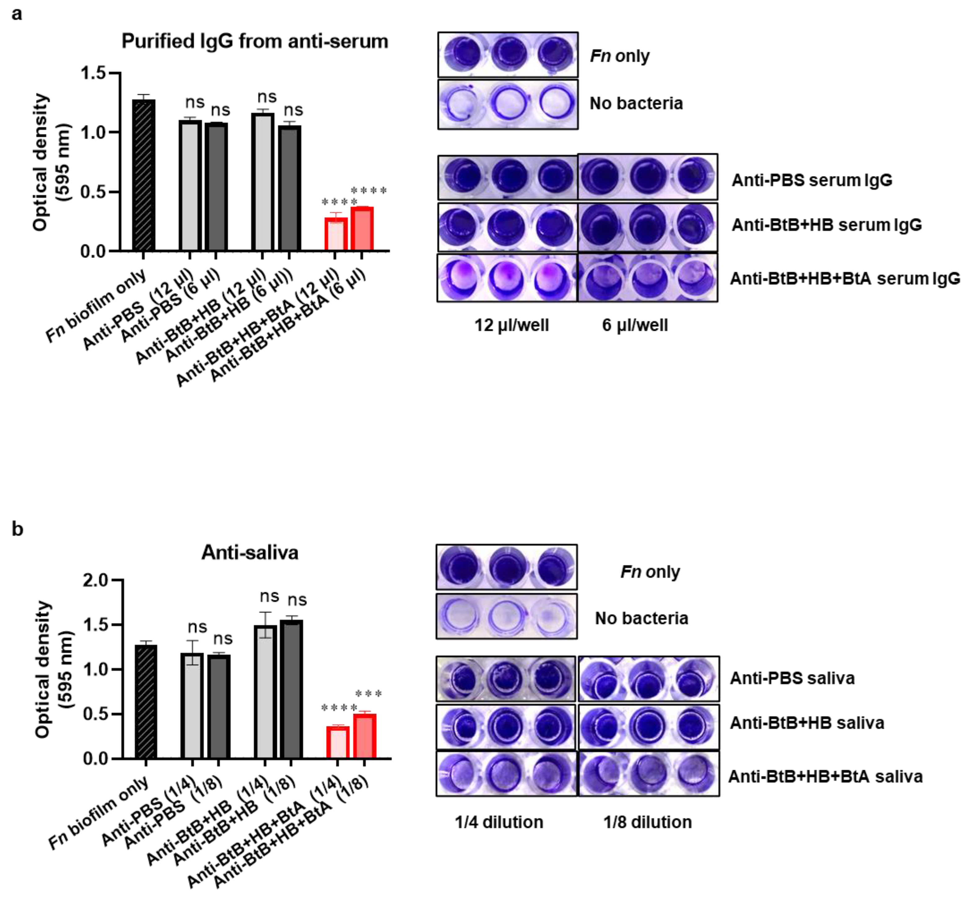 Vaccines 12 00754 g006