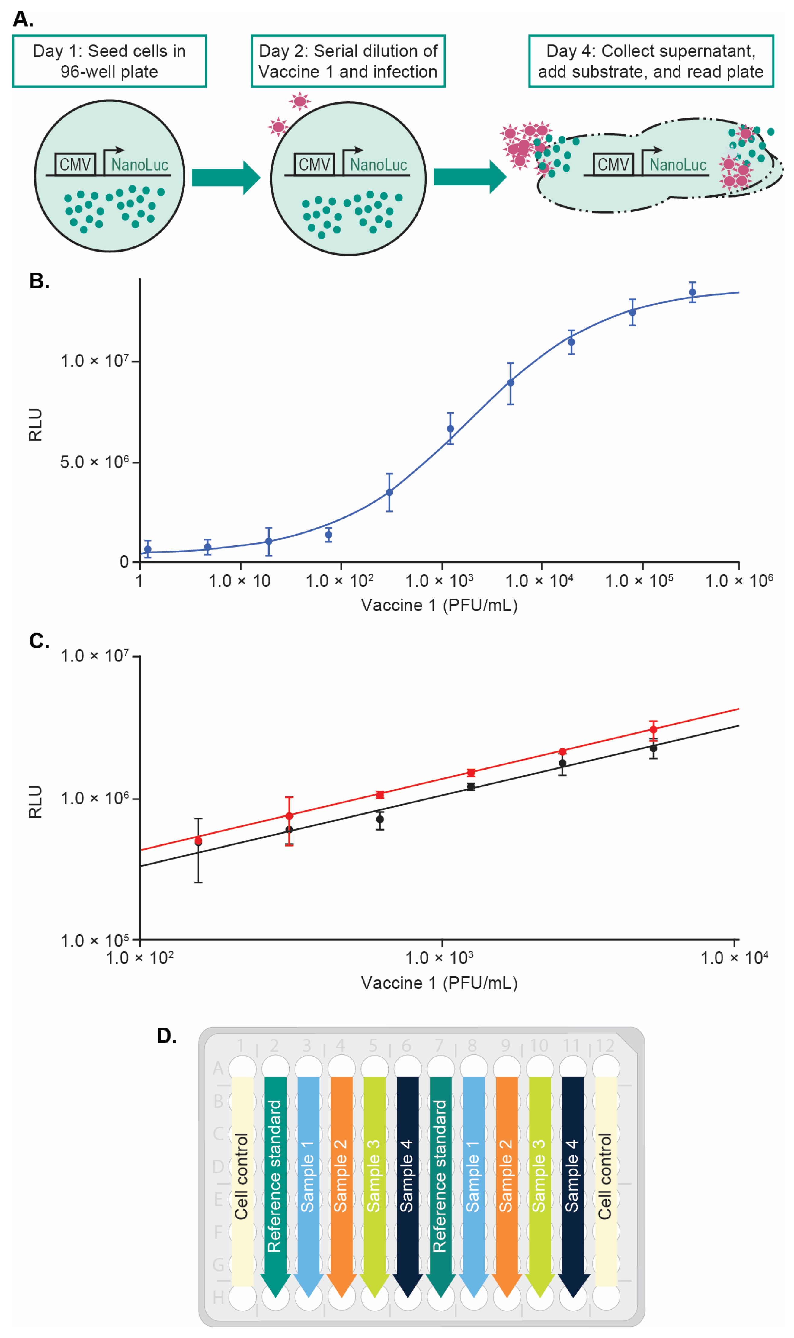 Vaccines 12 00769 g001