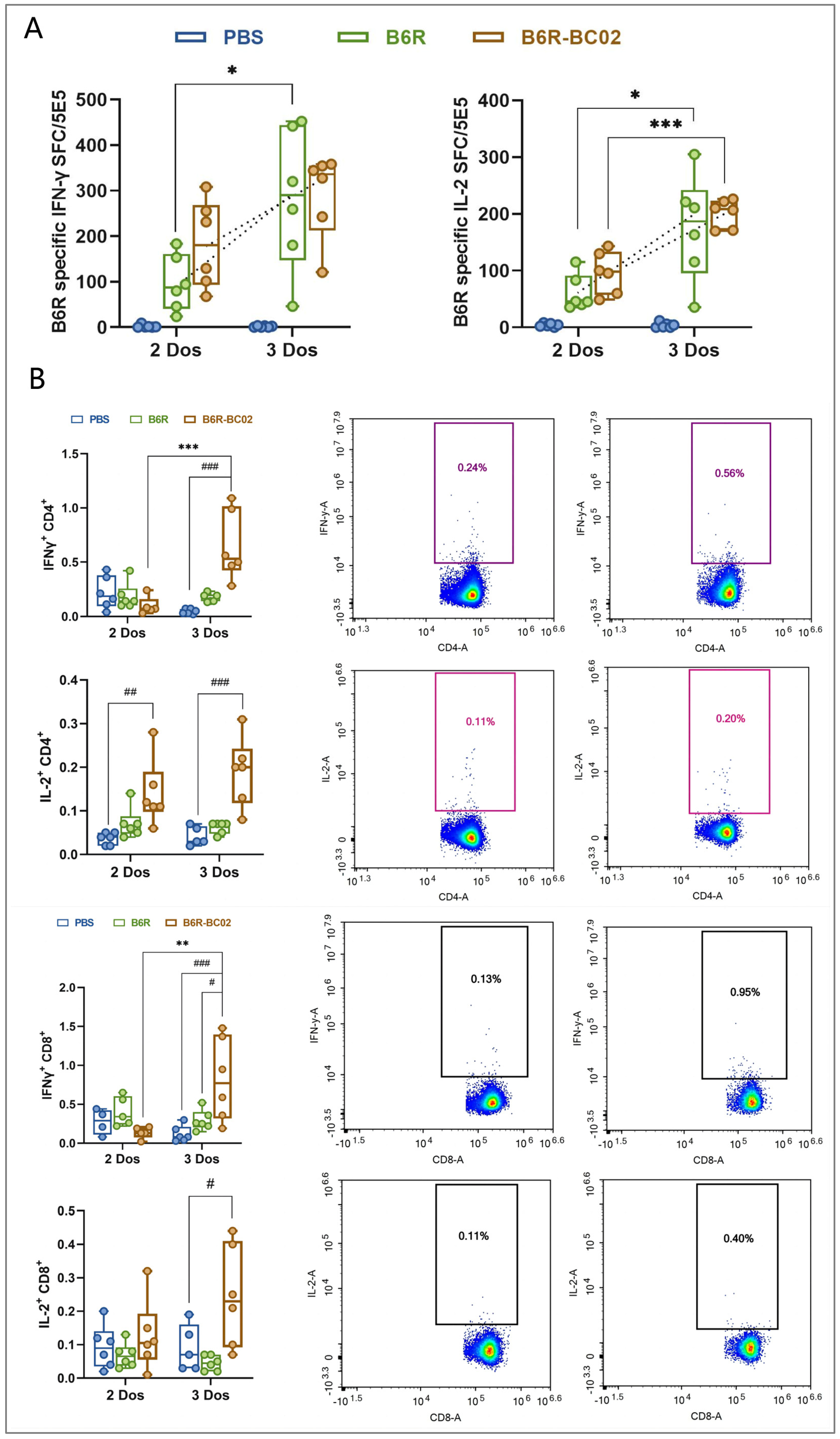Vaccines 12 00776 g004