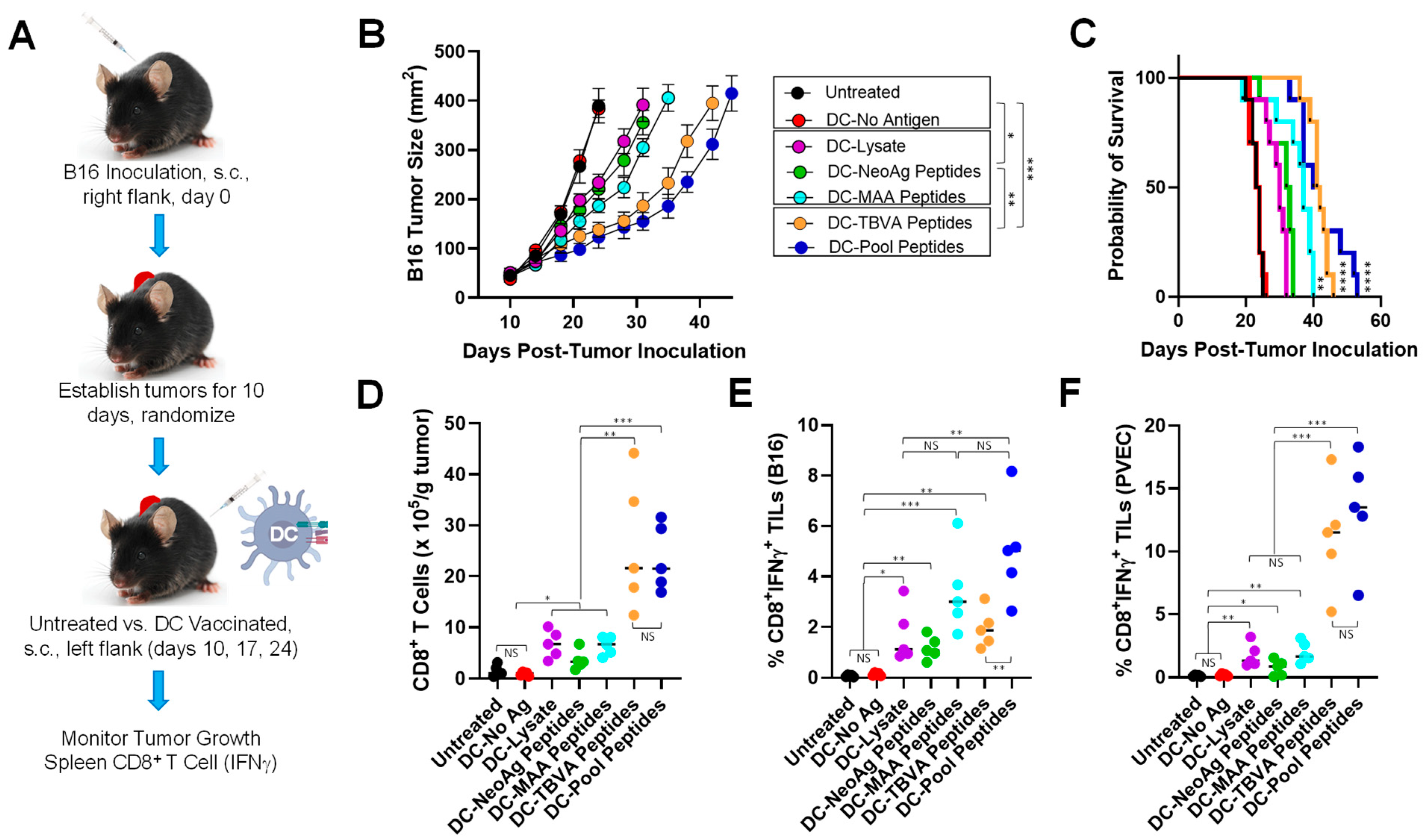 Vaccines 12 00777 g001