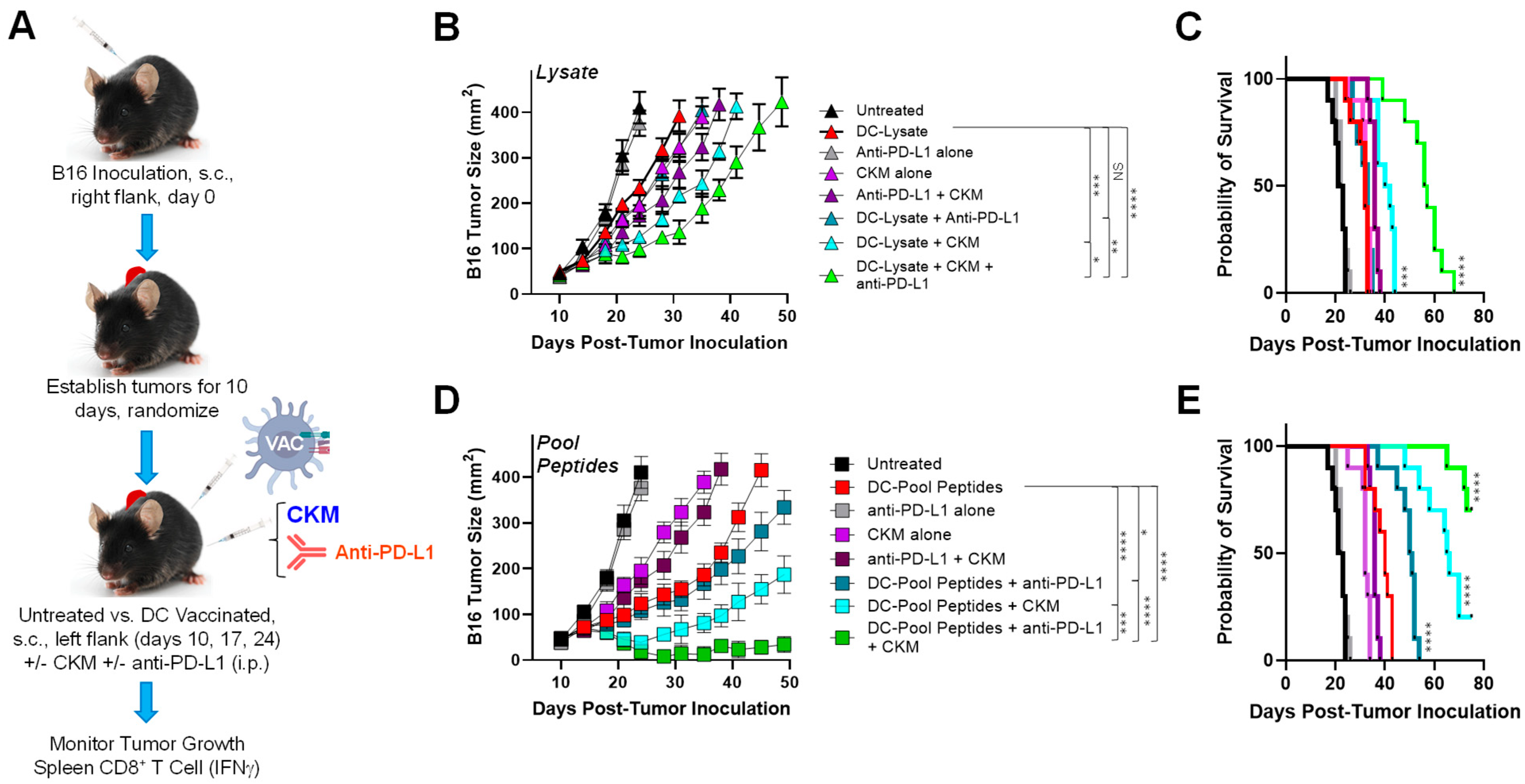 Vaccines 12 00777 g002