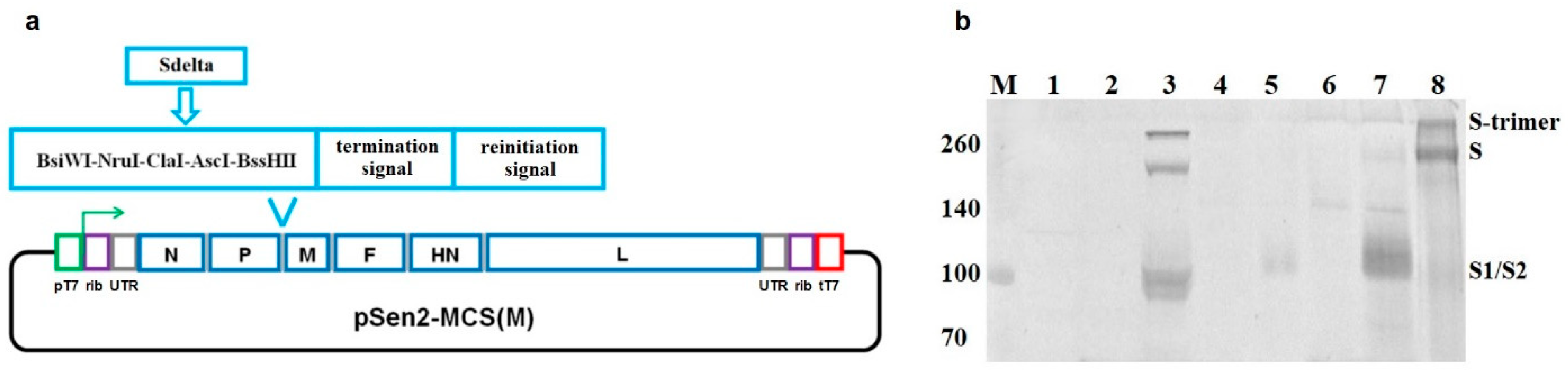 Vaccines 12 00783 g001 Vaccines 12 00783 g001