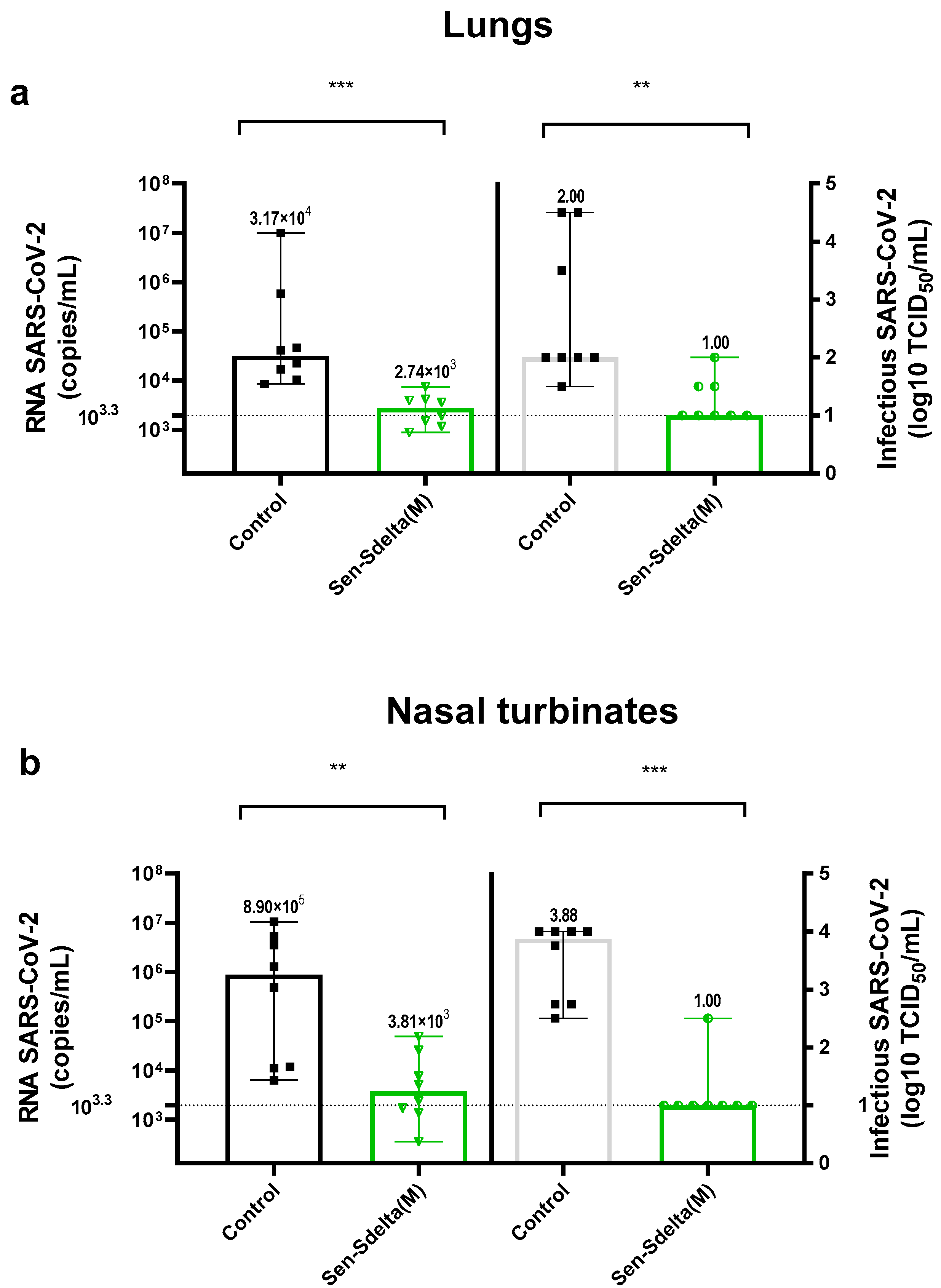 Vaccines 12 00783 g004 Vaccines 12 00783 g004