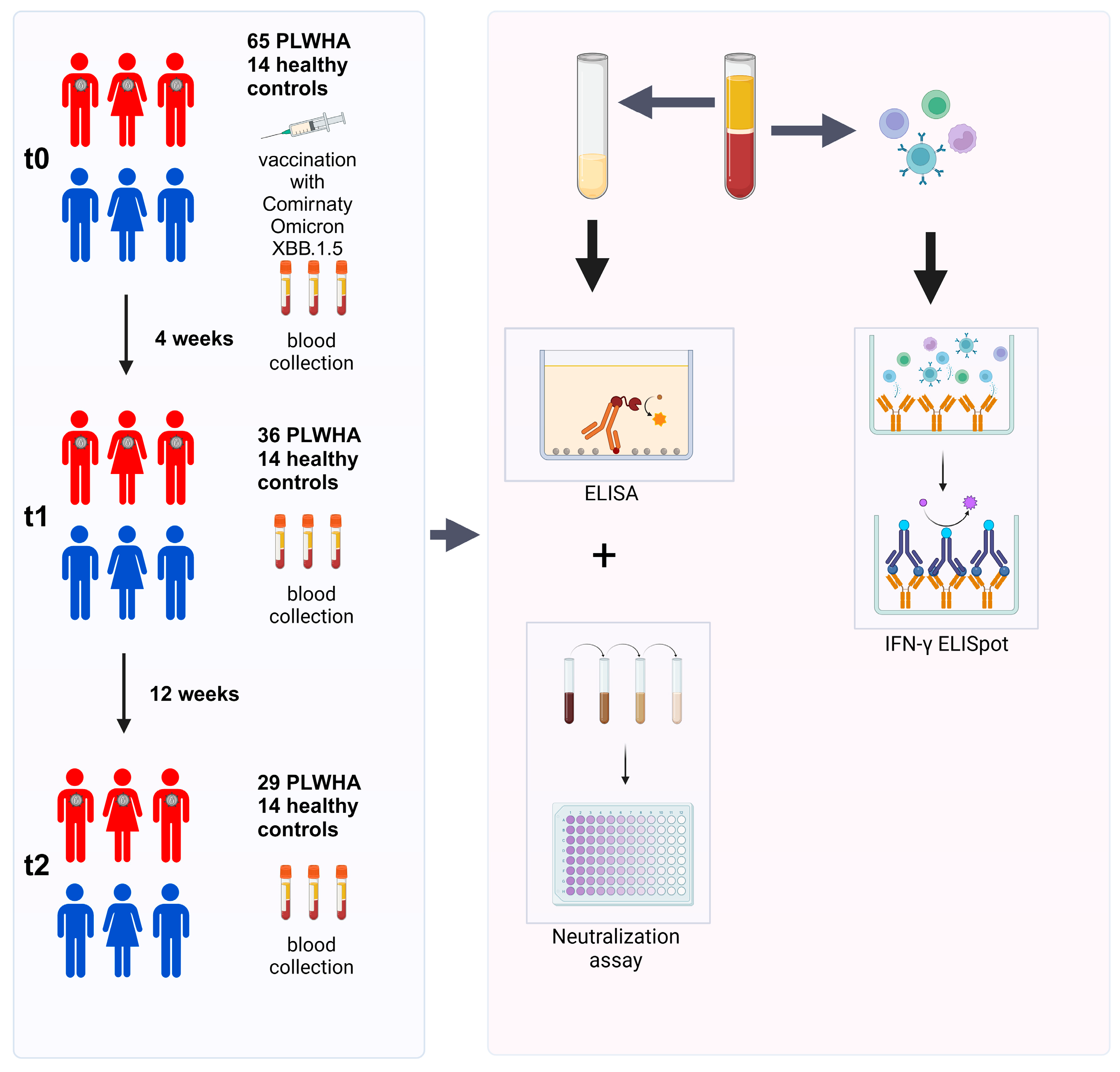 Vaccines 12 00785 g001