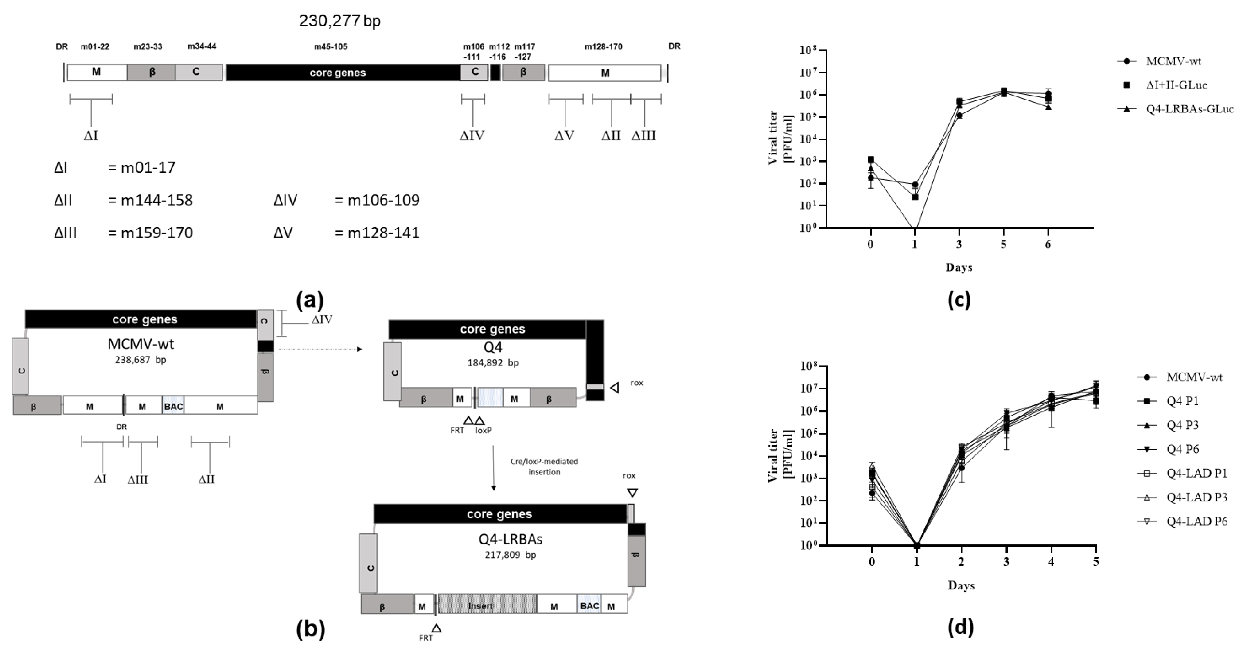 Vaccines 12 00791 g001
