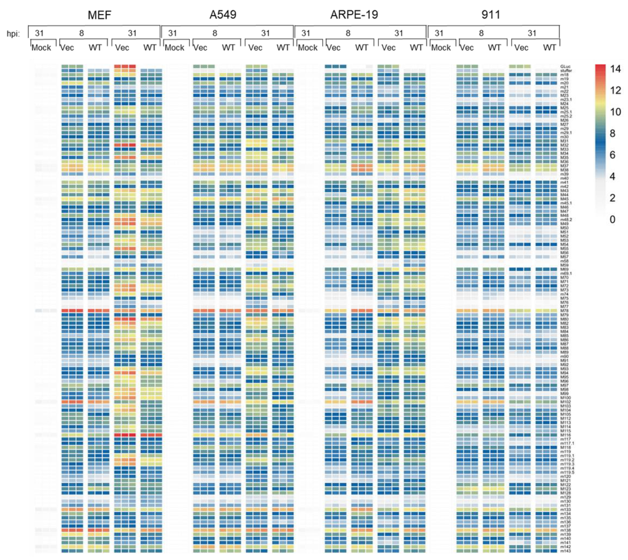 Vaccines 12 00791 g006