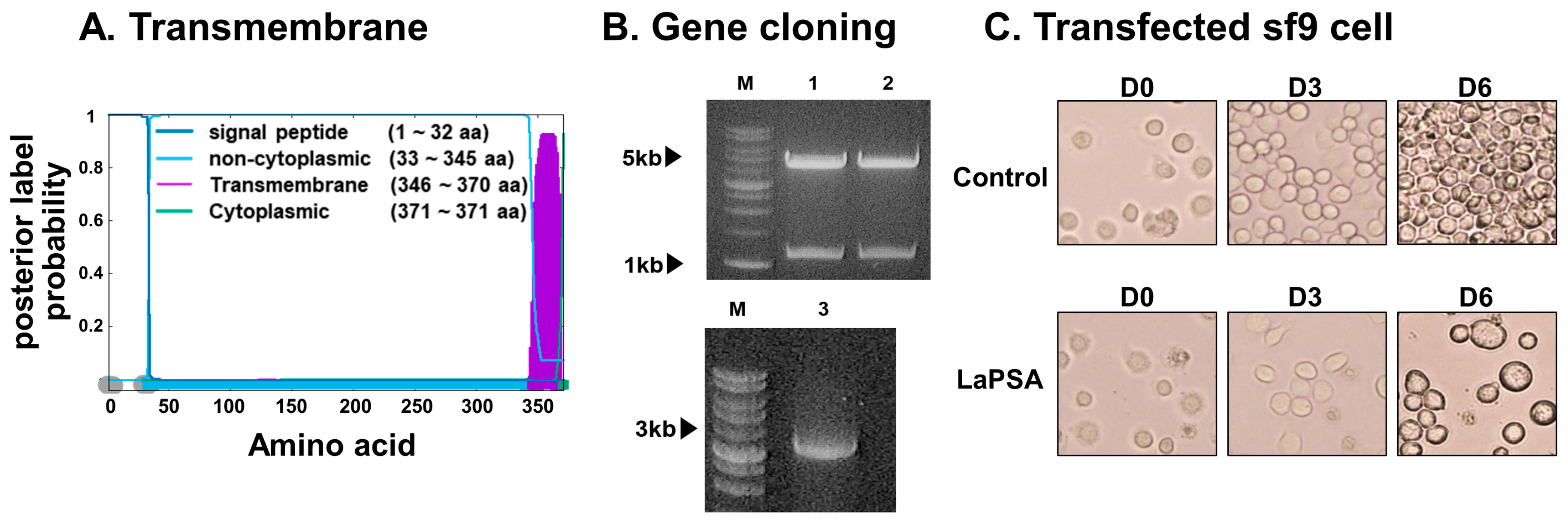 Vaccines 12 00793 g001 Vaccines 12 00793 g001