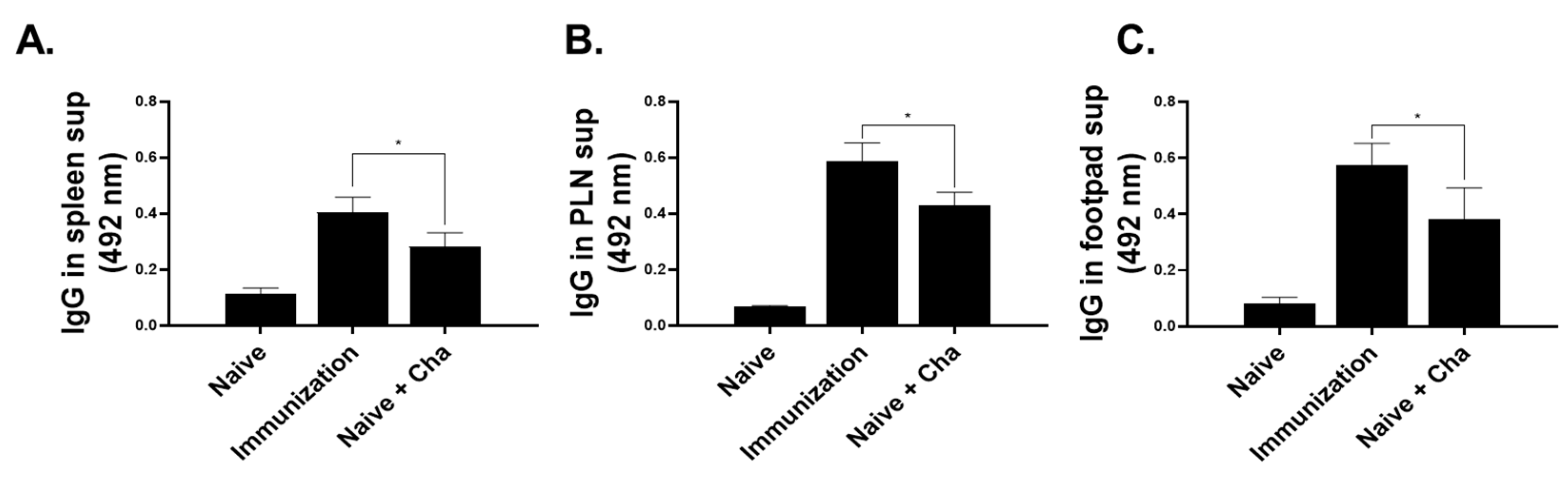 Vaccines 12 00793 g005 Vaccines 12 00793 g005