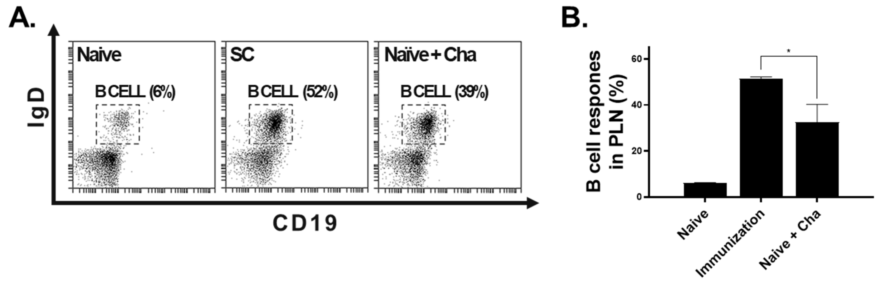 Vaccines 12 00793 g006 Vaccines 12 00793 g006