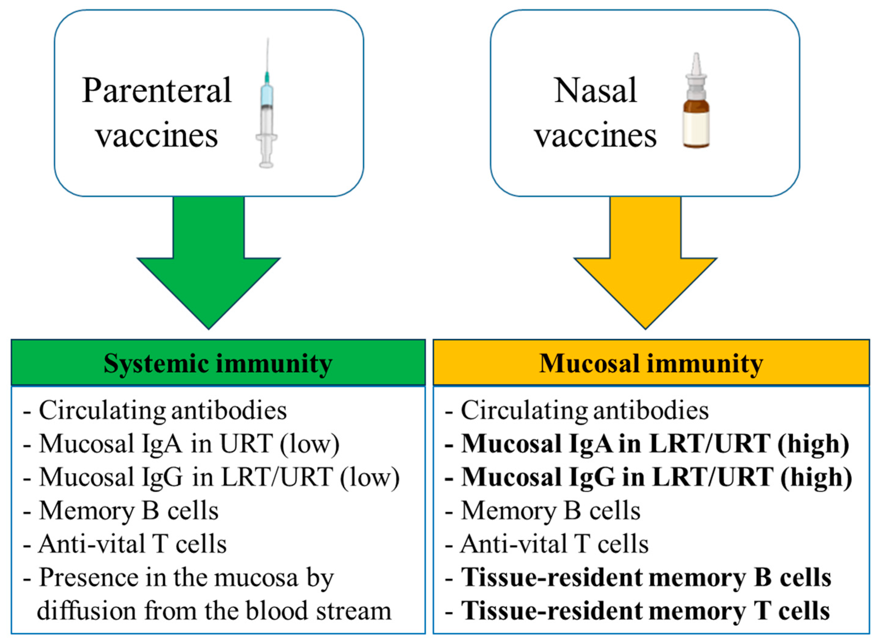 Vaccines 12 00795 g001 Vaccines 12 00795 g001
