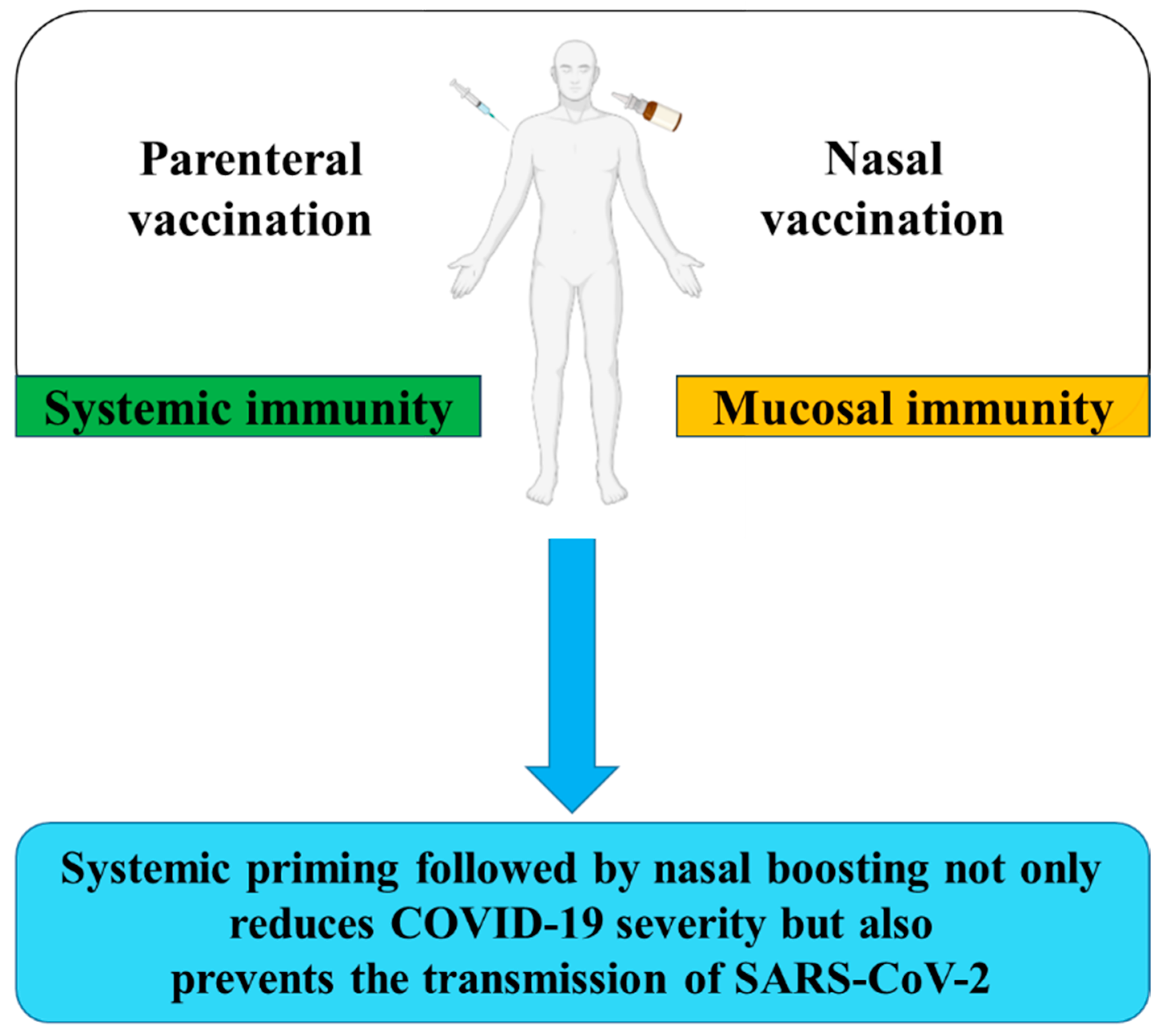 Vaccines 12 00795 g002 Vaccines 12 00795 g002