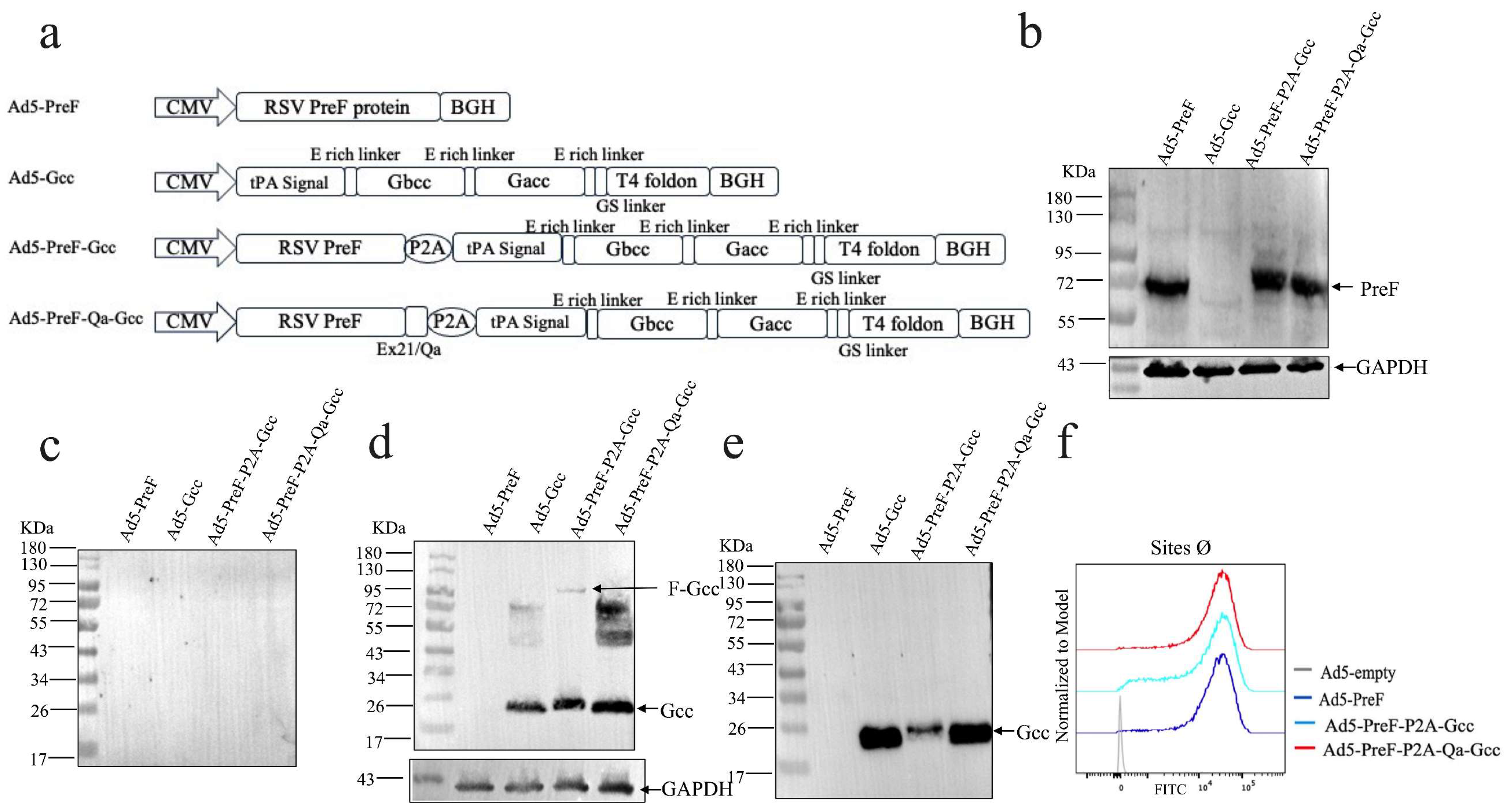 Vaccines 12 00807 g001