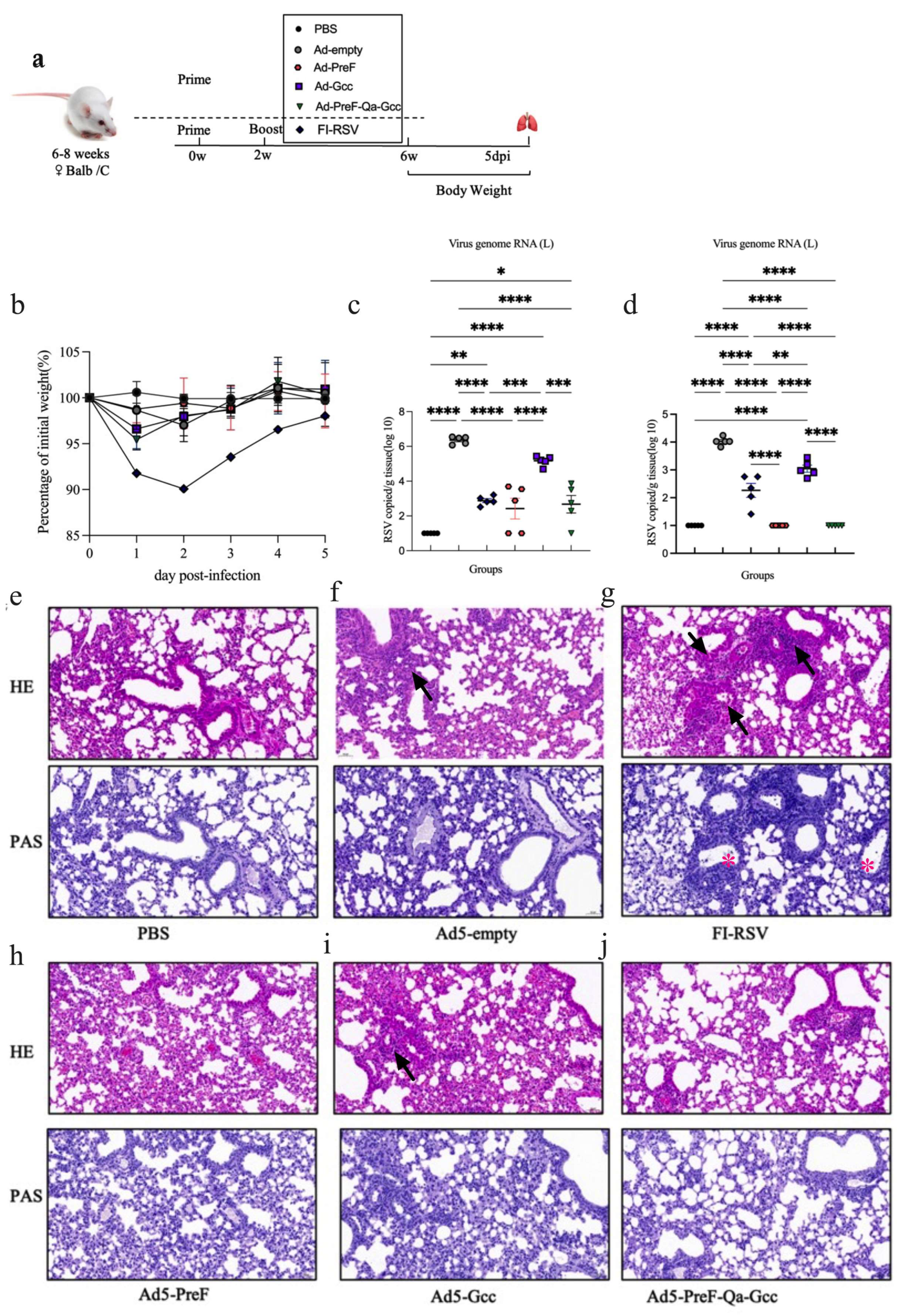 Vaccines 12 00807 g005