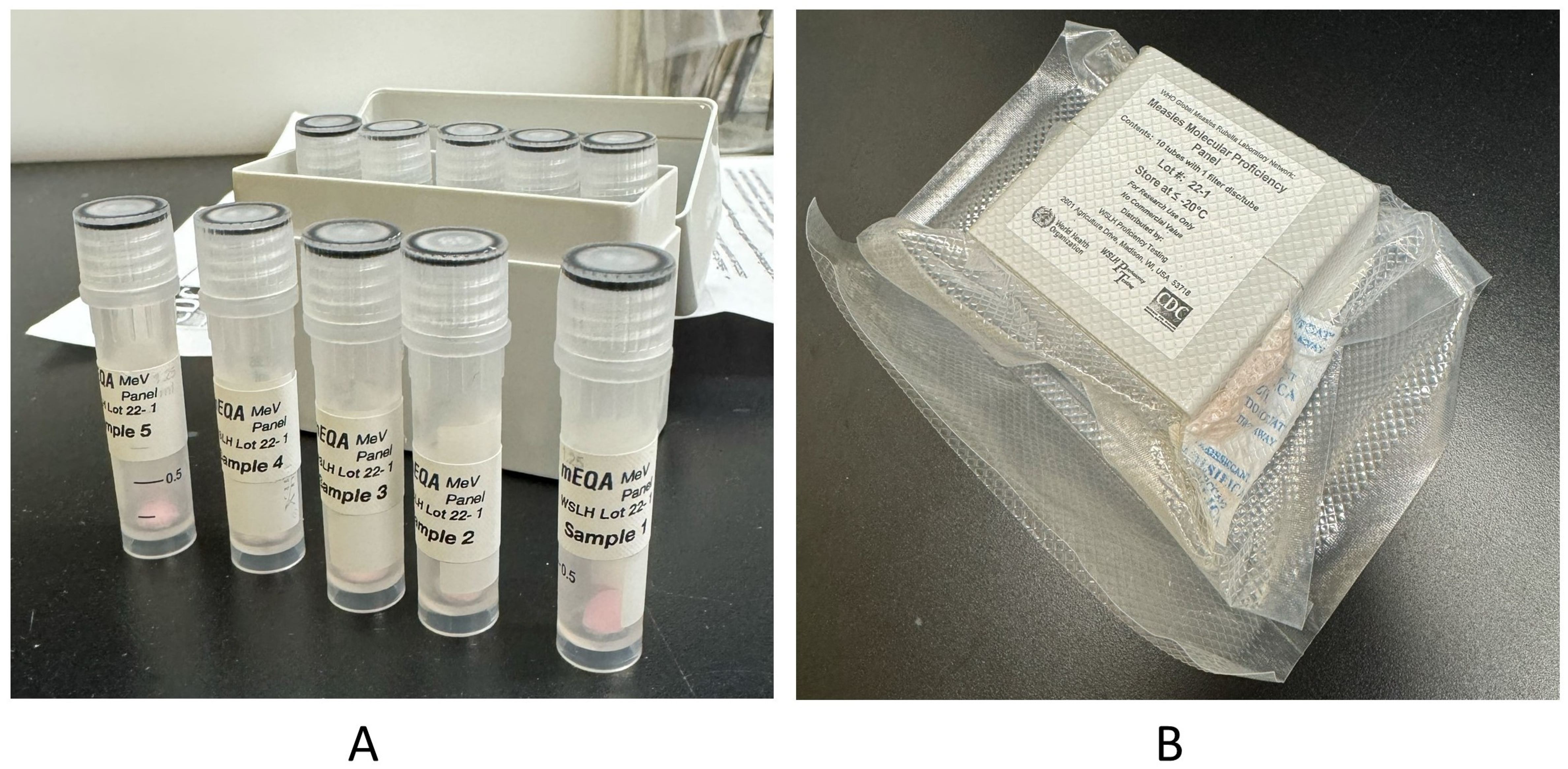 Vaccines 12 00824 g001